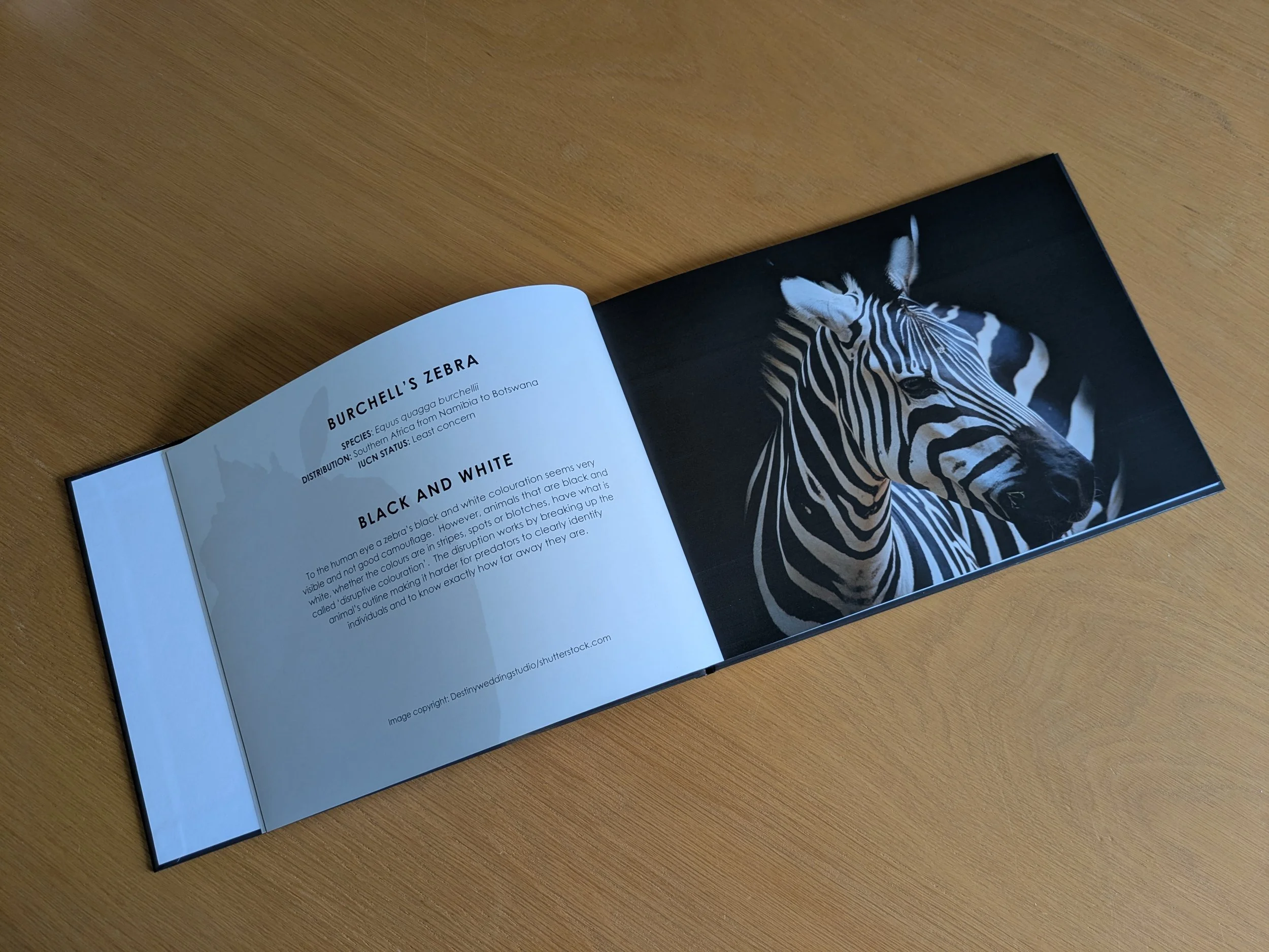 3 Wild Colour Coffee Table book Zebra 1.jpg