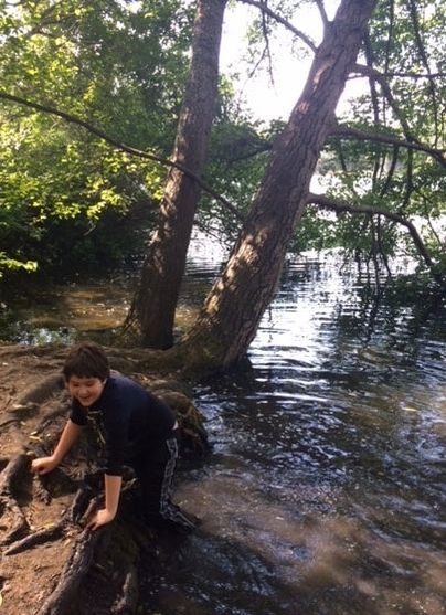 Are trees more important than children?