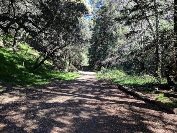 Trail into the canyon at Leona Heights Park. You'll feel like you entered a different universe .
