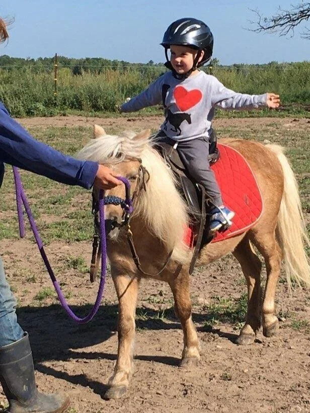 Lessons are available for students ages 5 and up. We have lesson horses suitable for most sizes and abilities of riders.