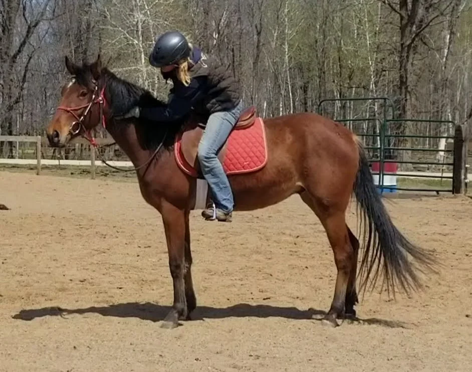 SmartSelect_20200506-231255_Video Player.jpg