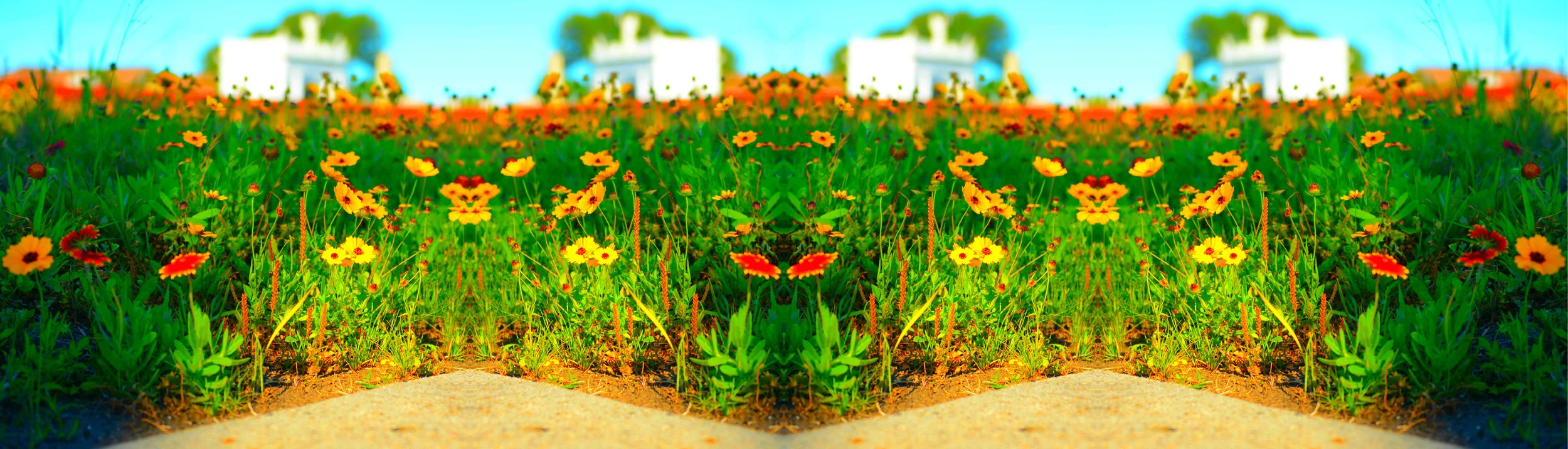 Graveyard Flowers (Billy).jpg
