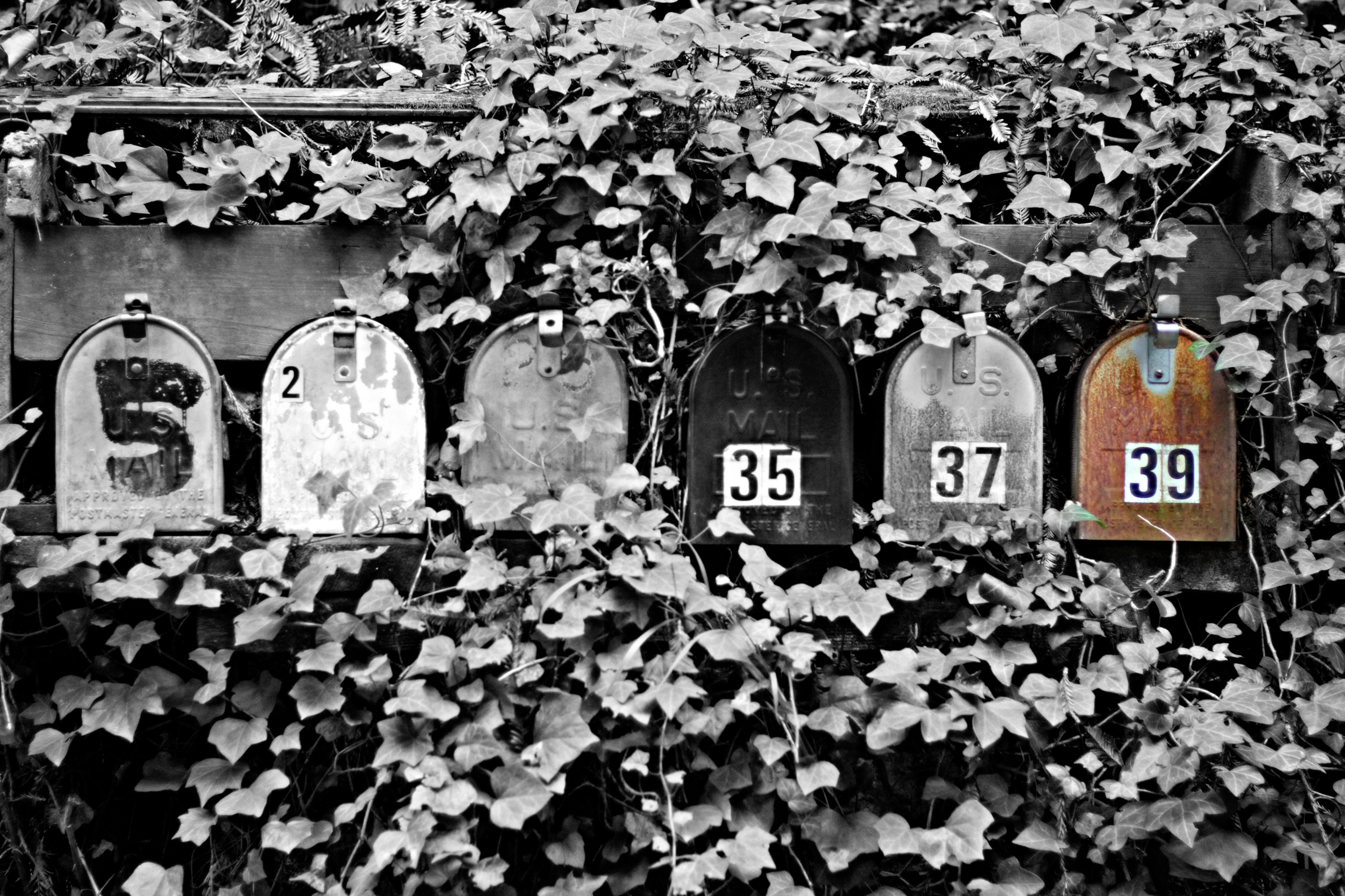 Amanda Mailboxes.png