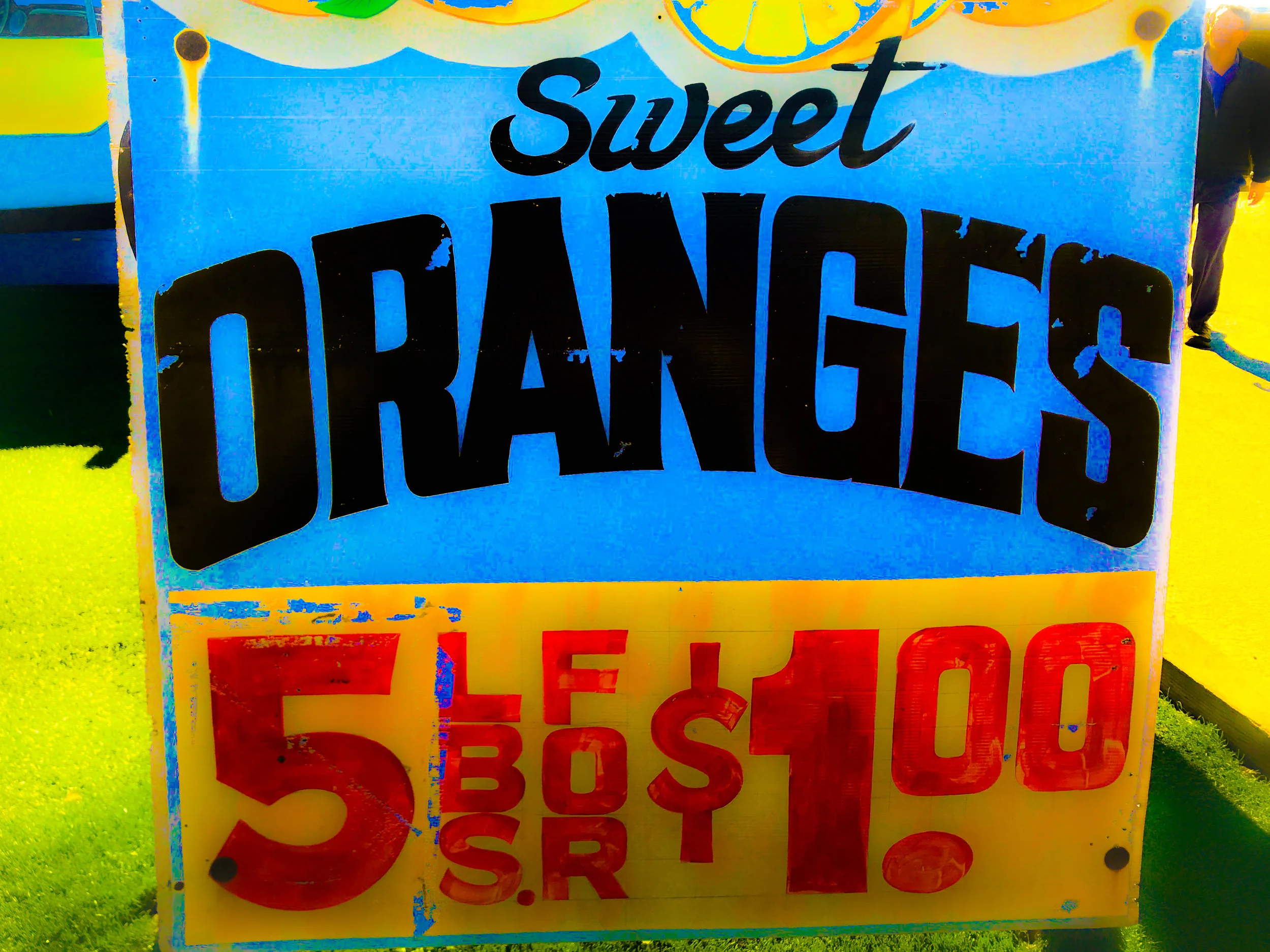 Gavin Sweet Oranges.jpg