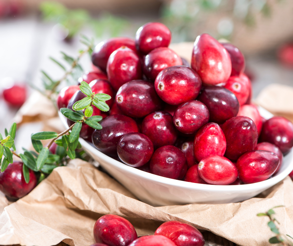 5 Benefits of Cranberry Powder