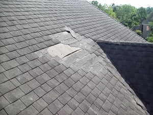 roof.jpg