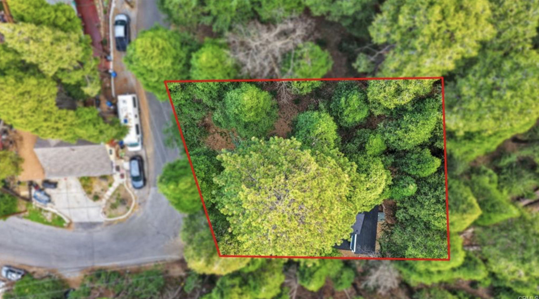 Screenshot 2025-12-31 at 9.40.56 AM.png