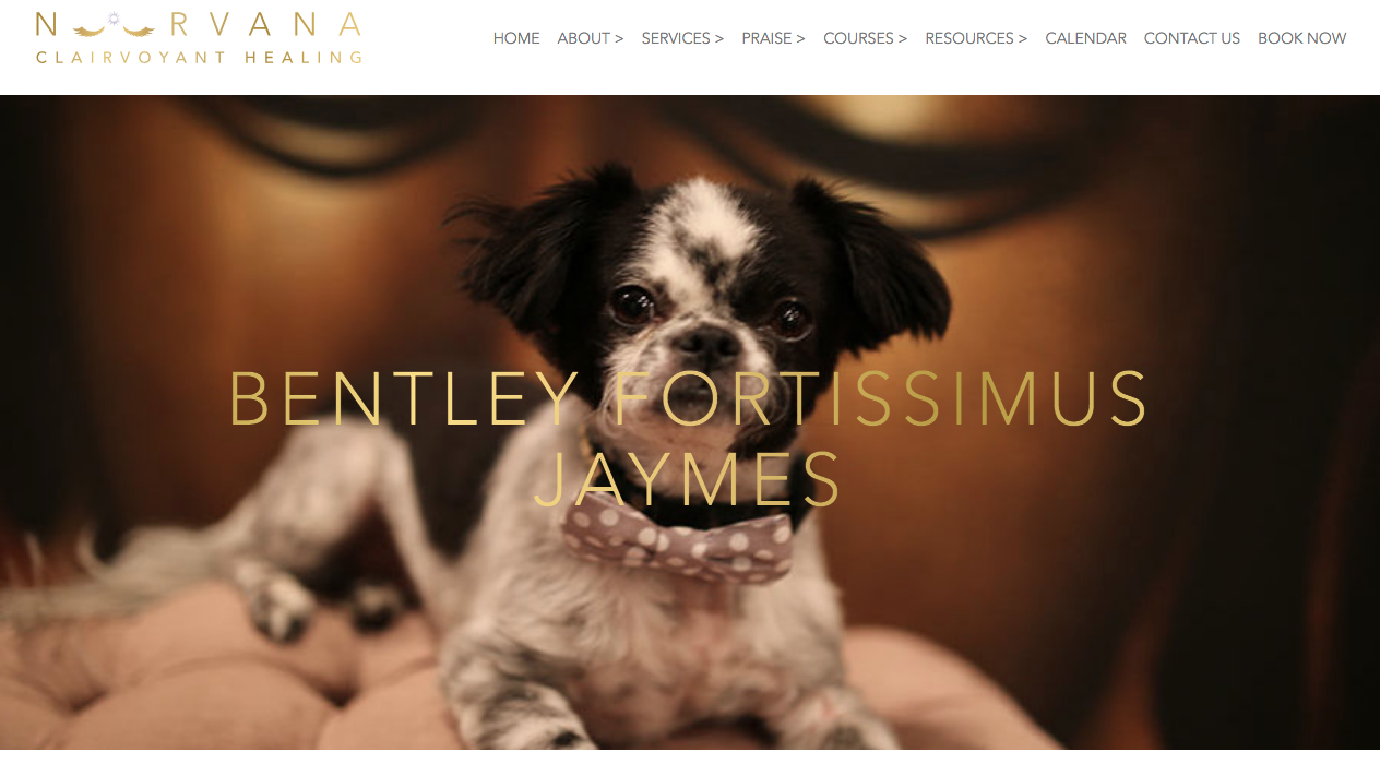 Screen Shot 2018-05-21 at 10.43.29 AM.png