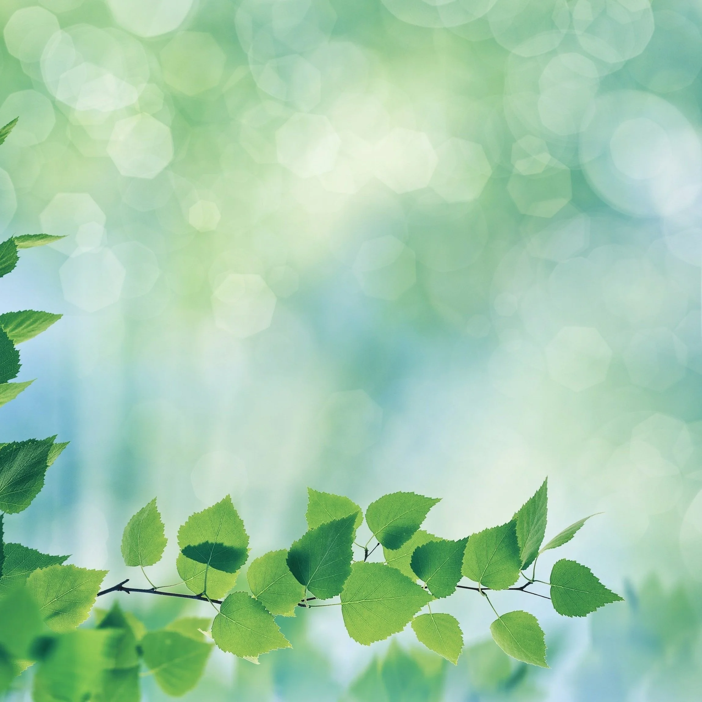 Full Spectrum Support, LLC