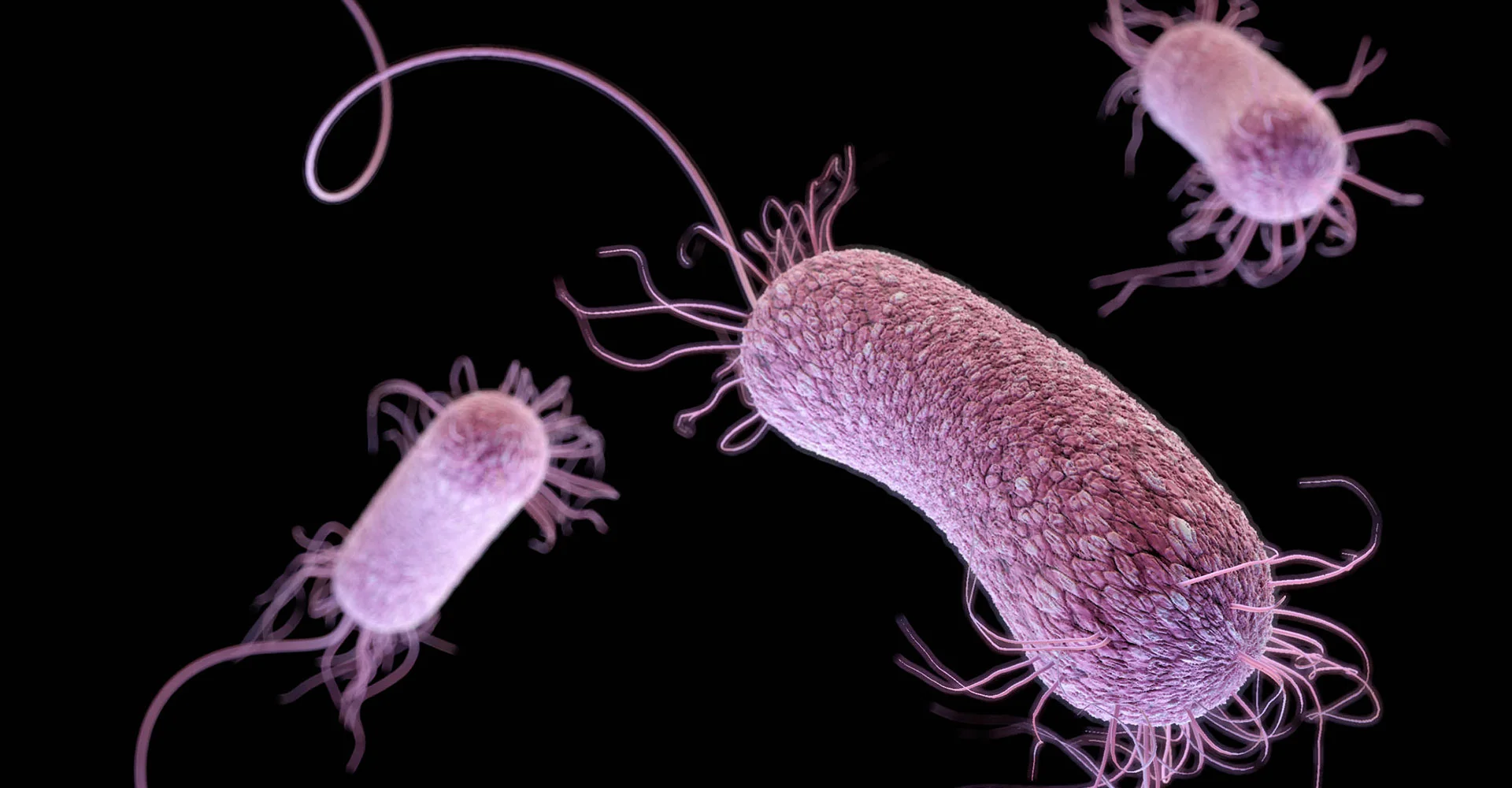 Superbug9.jpg