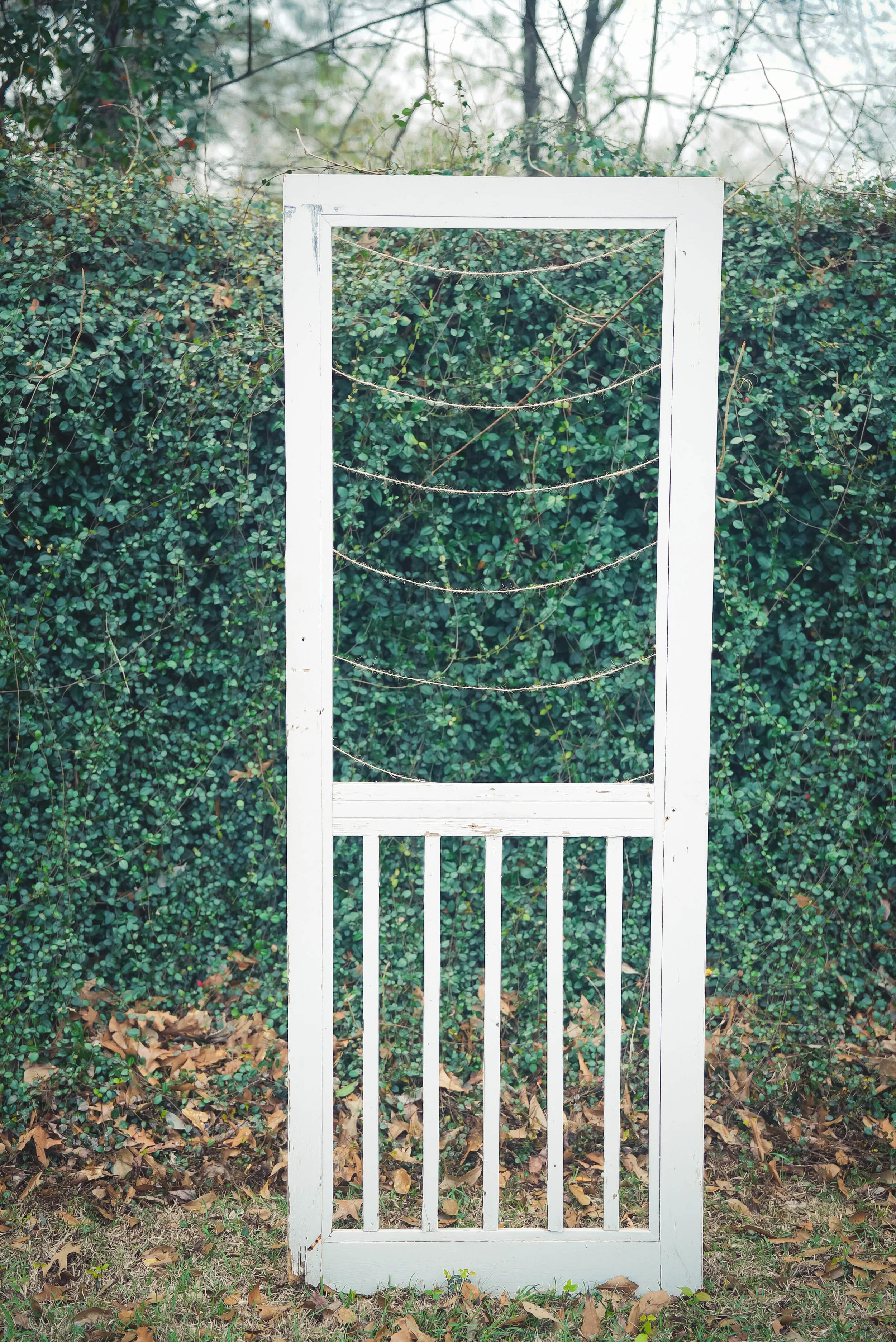 White Screen Door