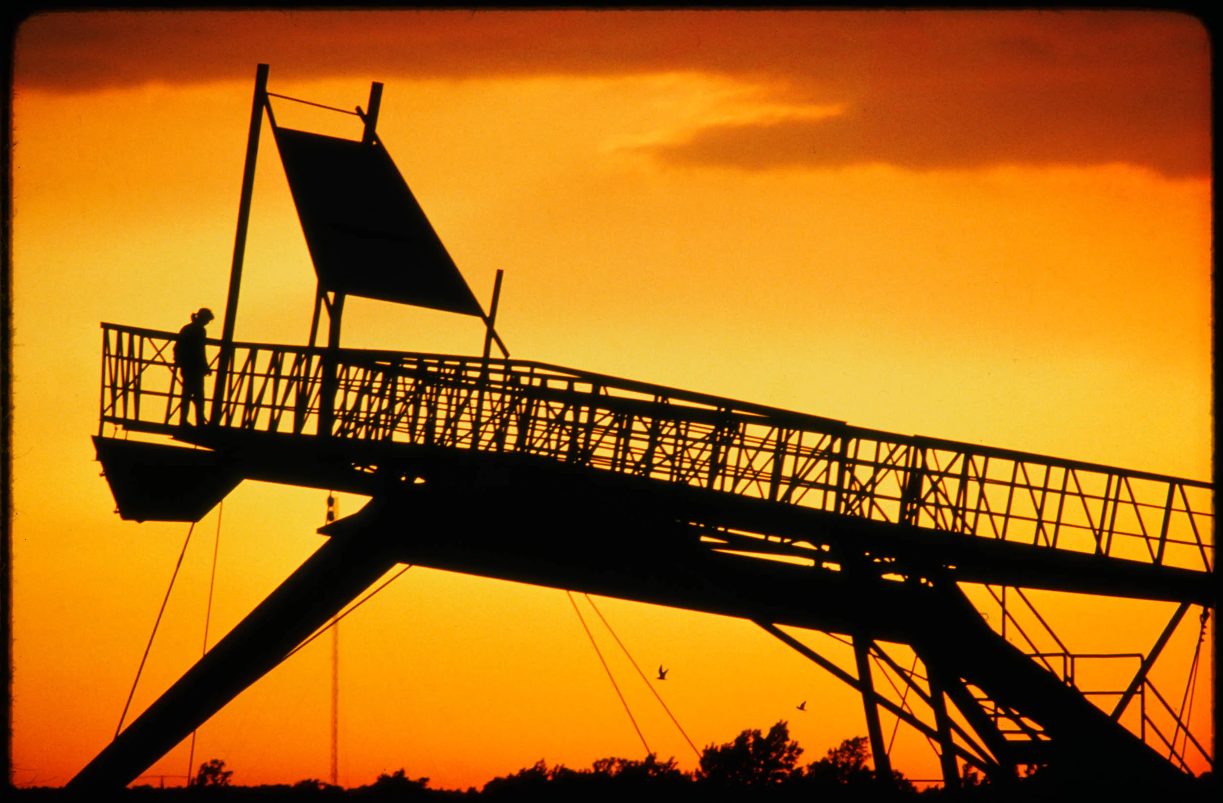 OM Website_Work_Omega 6_Final.jpg