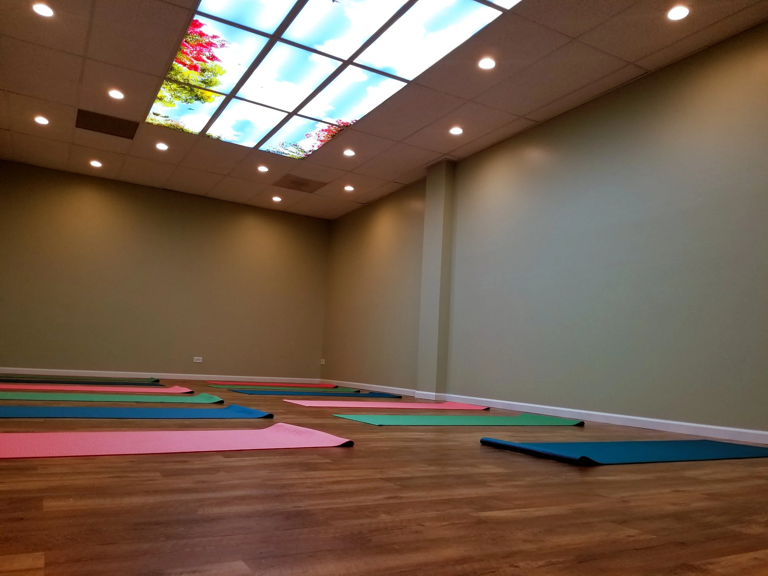 Brand new Wellness Studio….rolling out the mats! See you under the treetops!