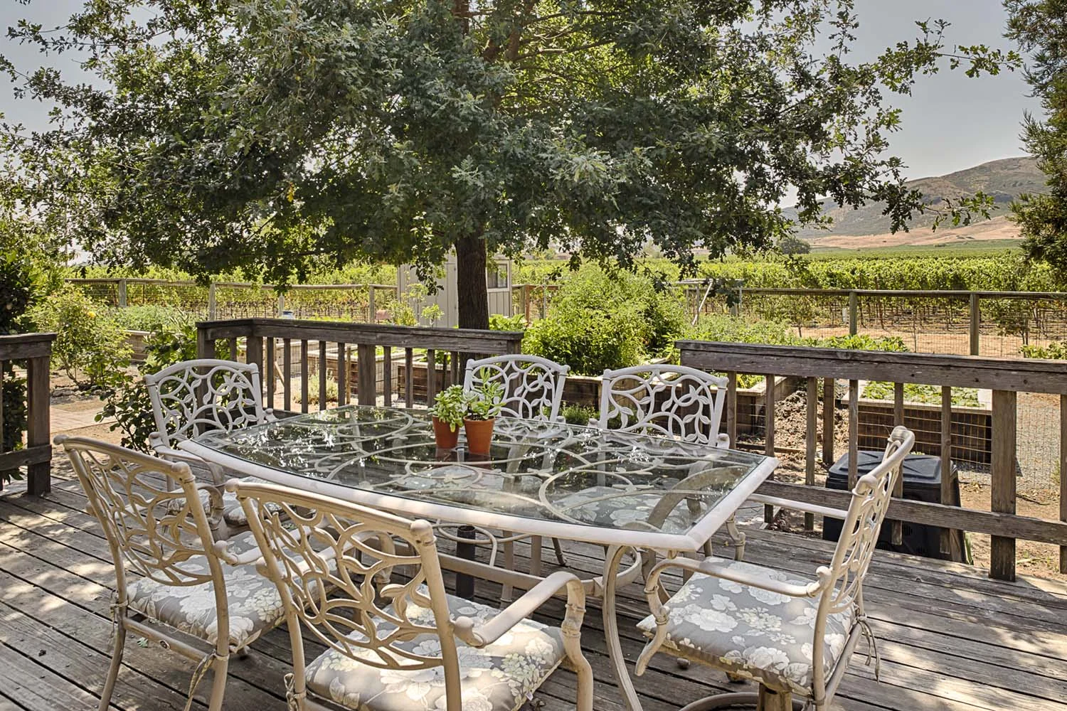 Stay With Roche — Roche Winery