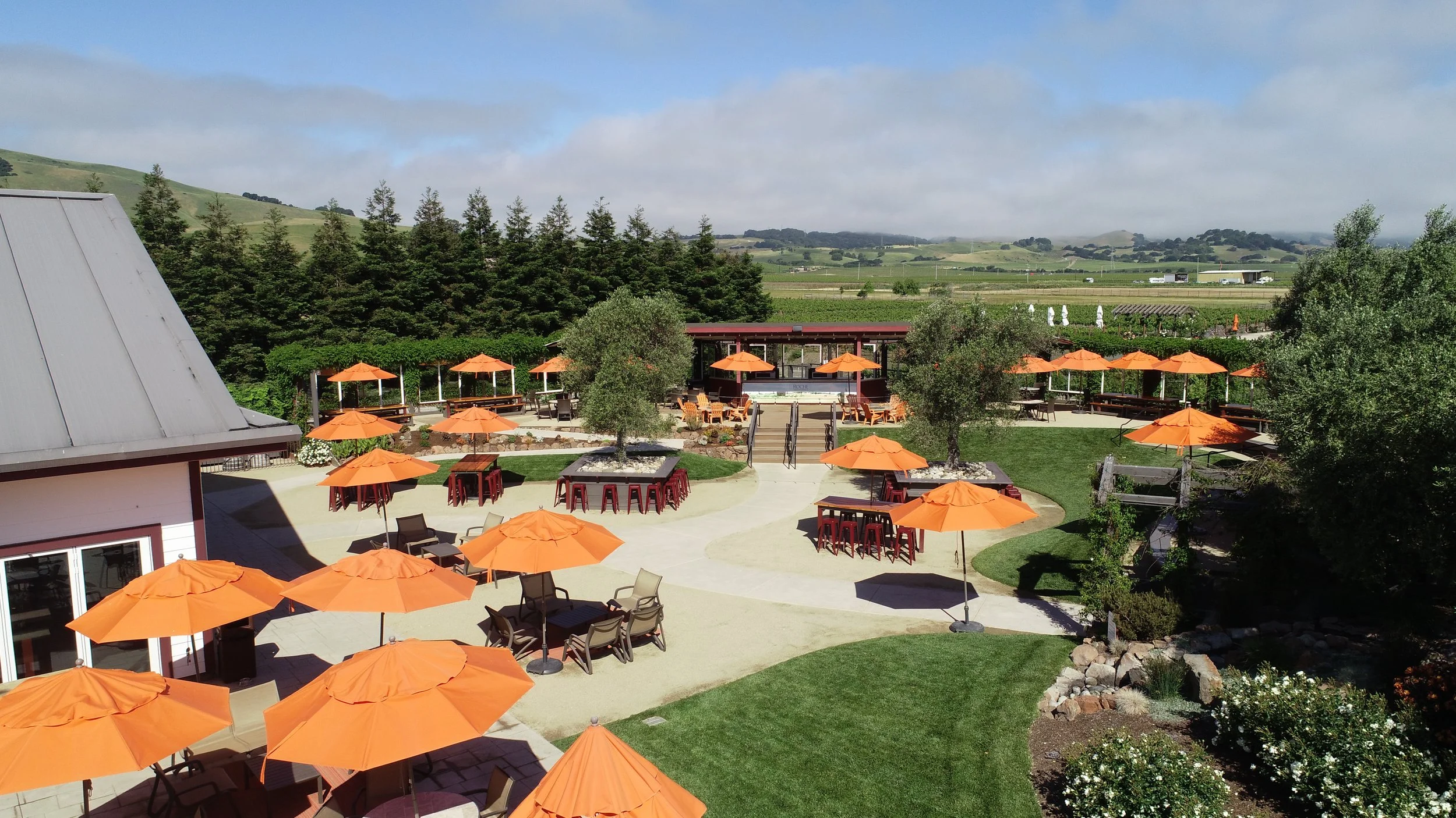 Roche Winery & Vineyards