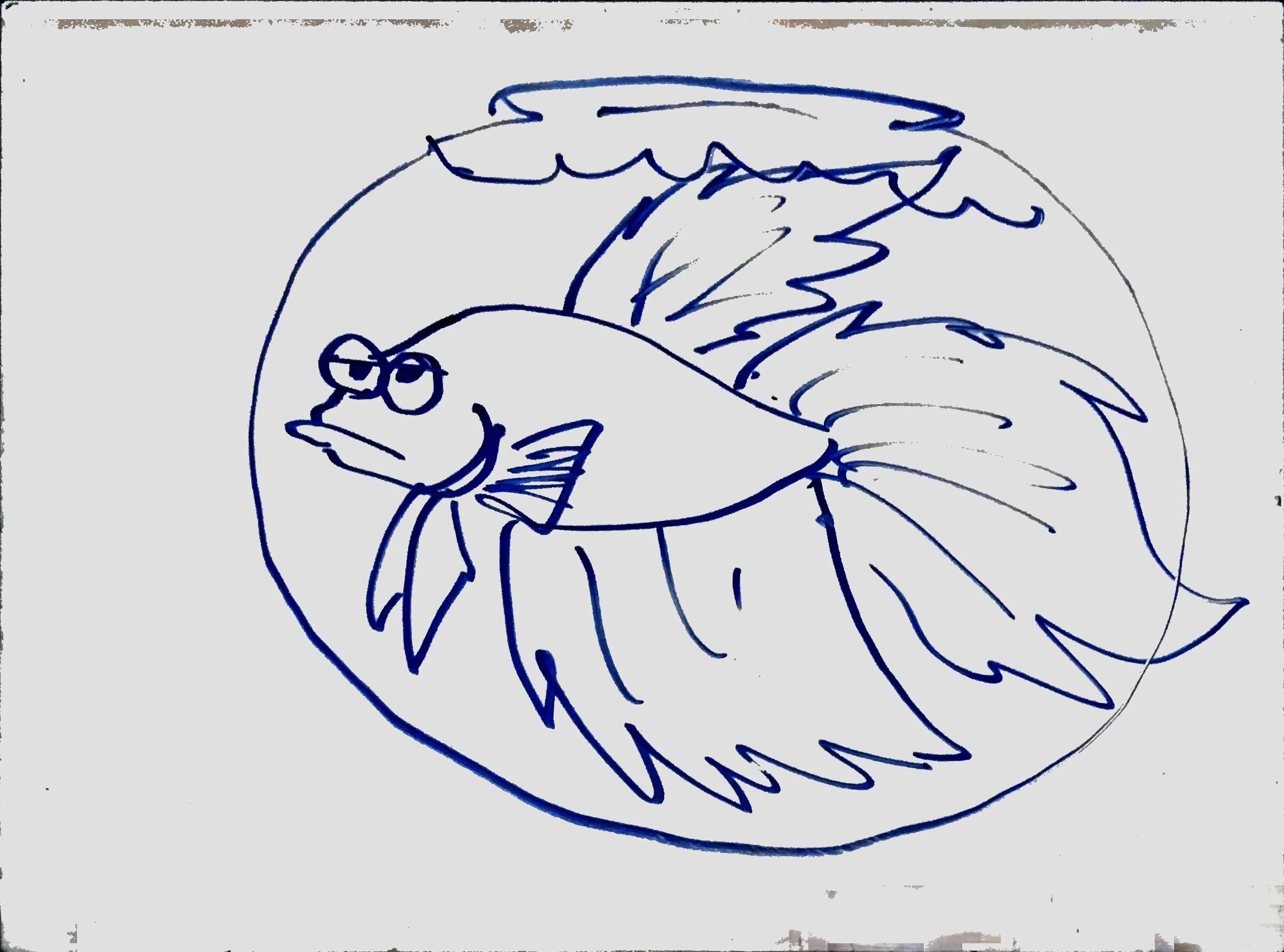 2018_08_05 Fish_In_Bowl.jpg