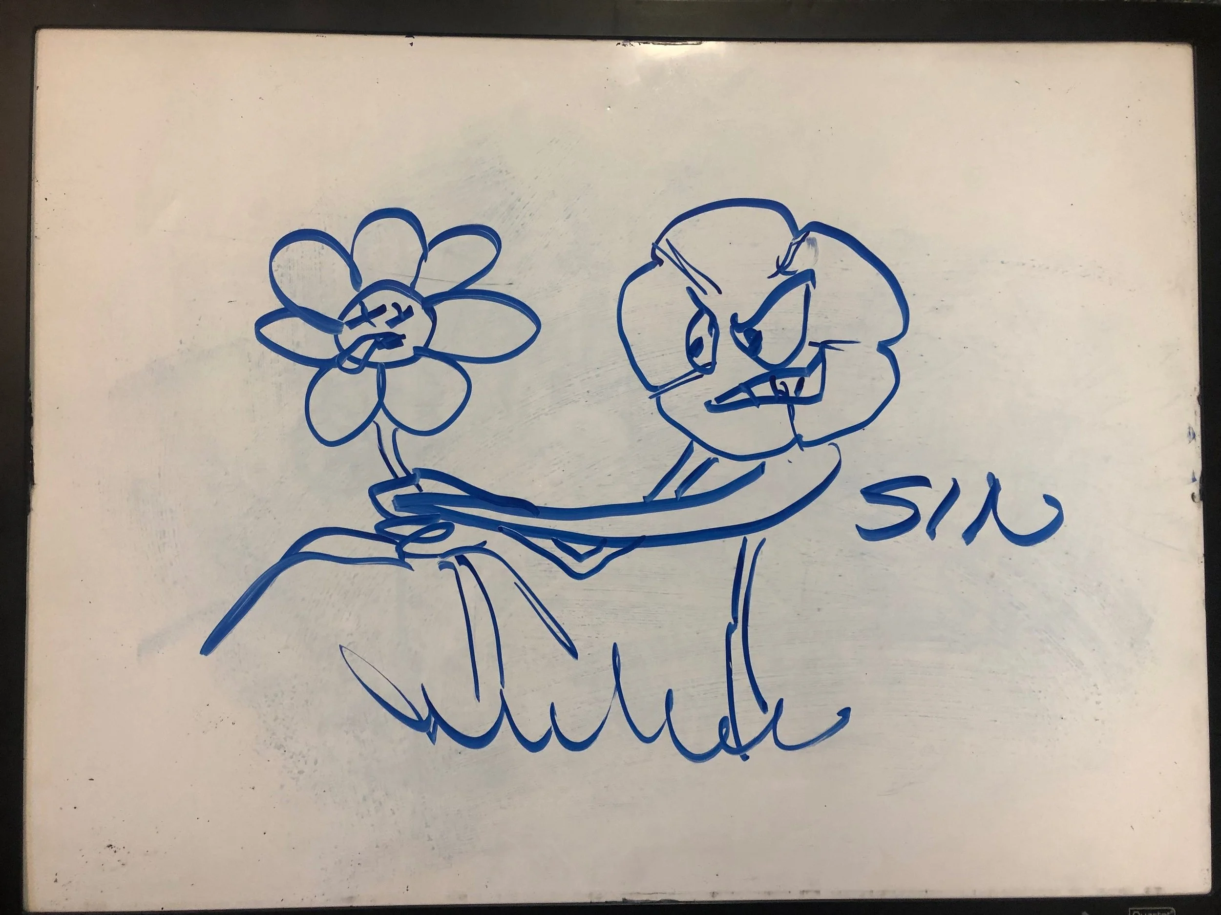 2019_09_01_Morning+Glory.jpg