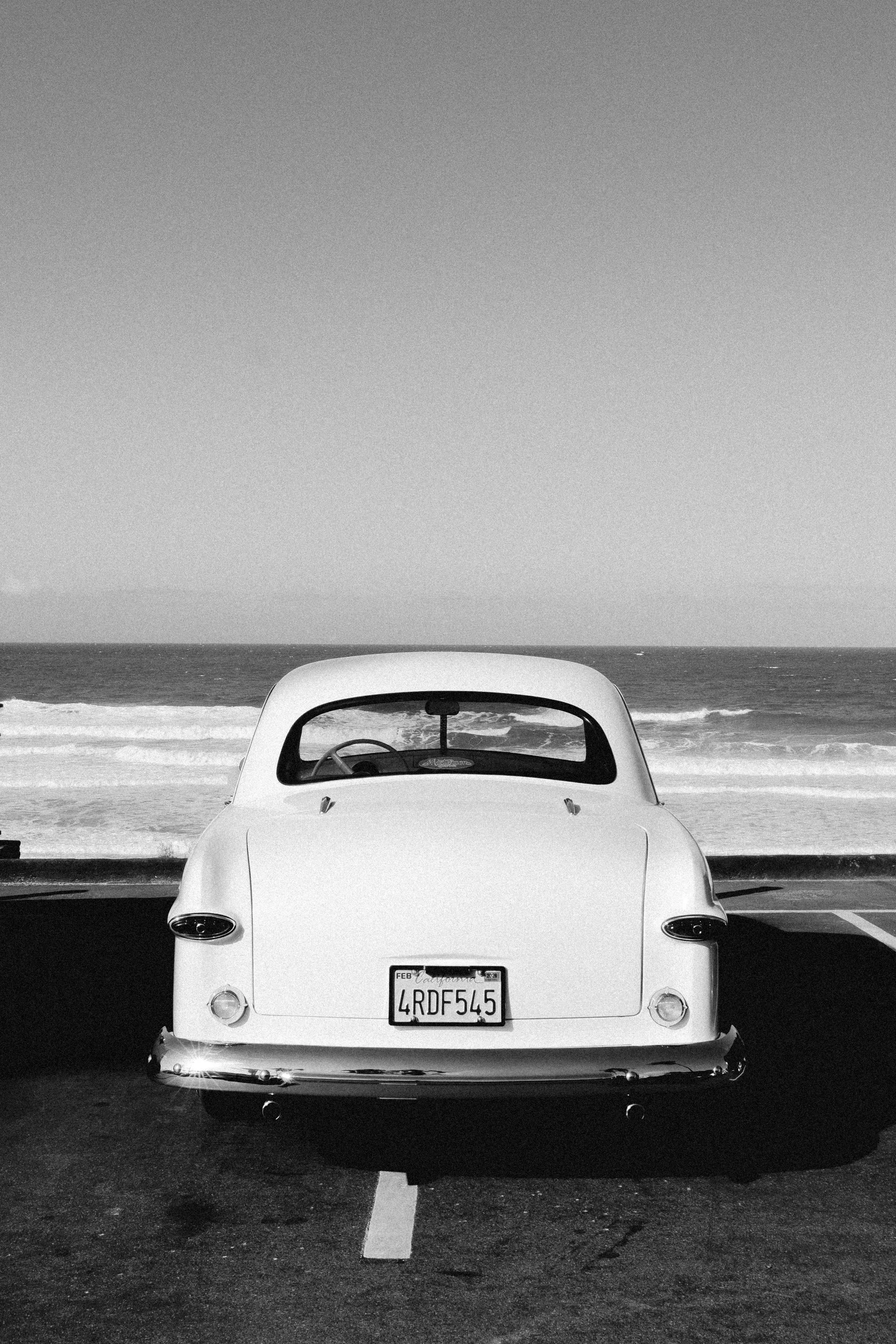 FUJI3564.jpg