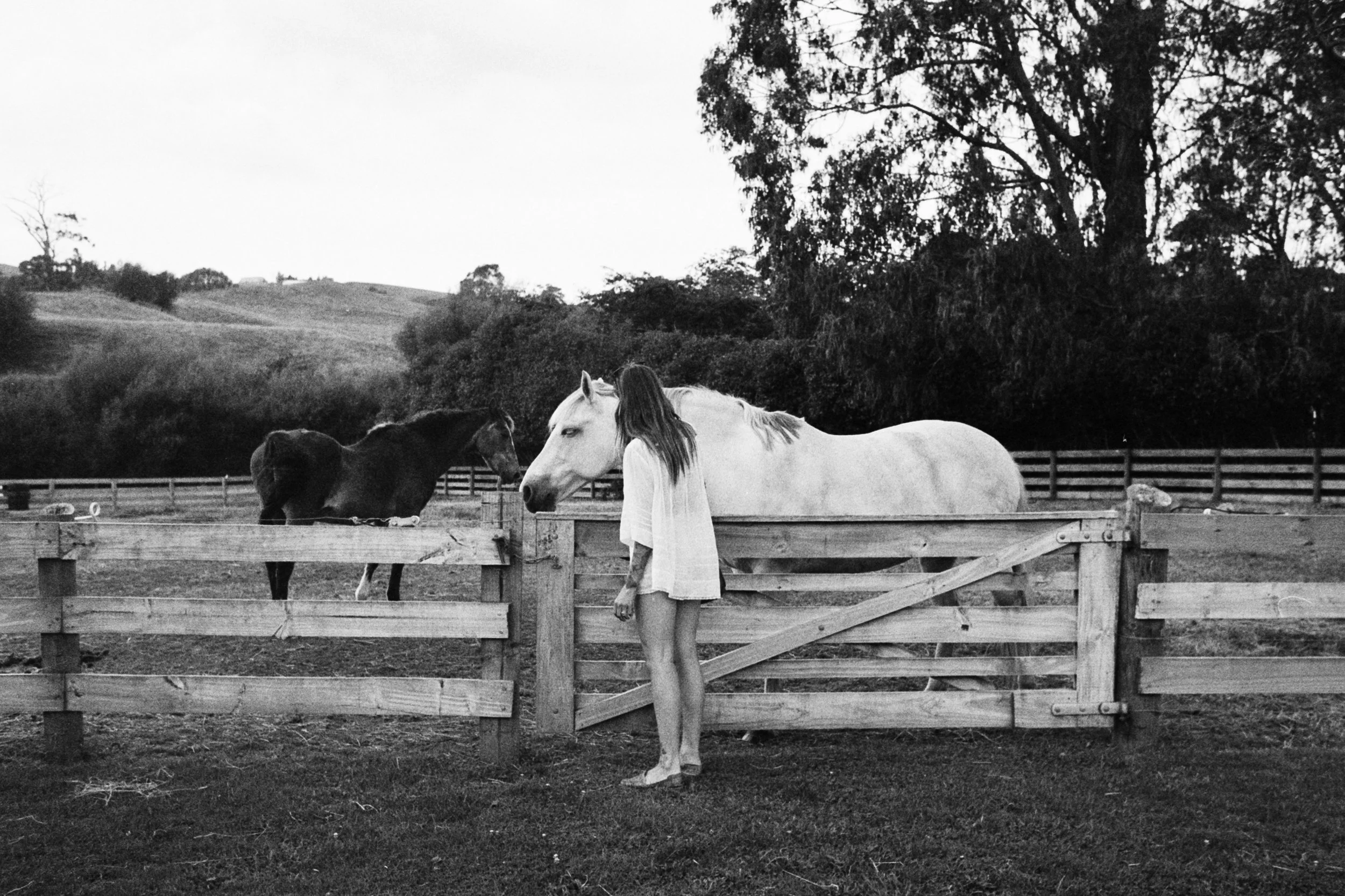 NZ-film (47).jpg