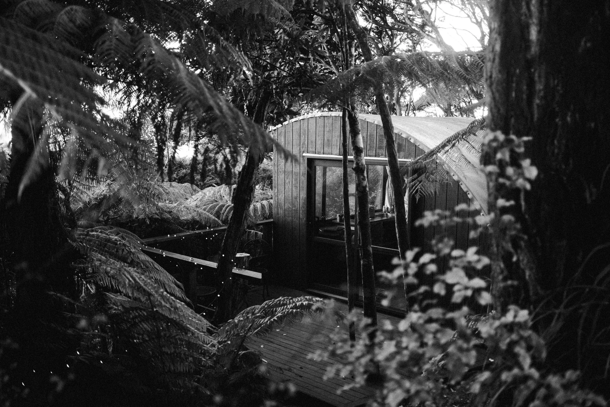 FUJI4715.jpg