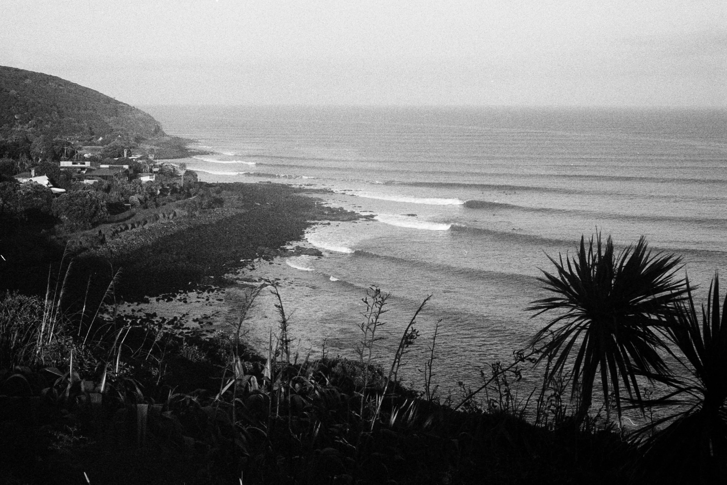 NZ-film (49).jpg