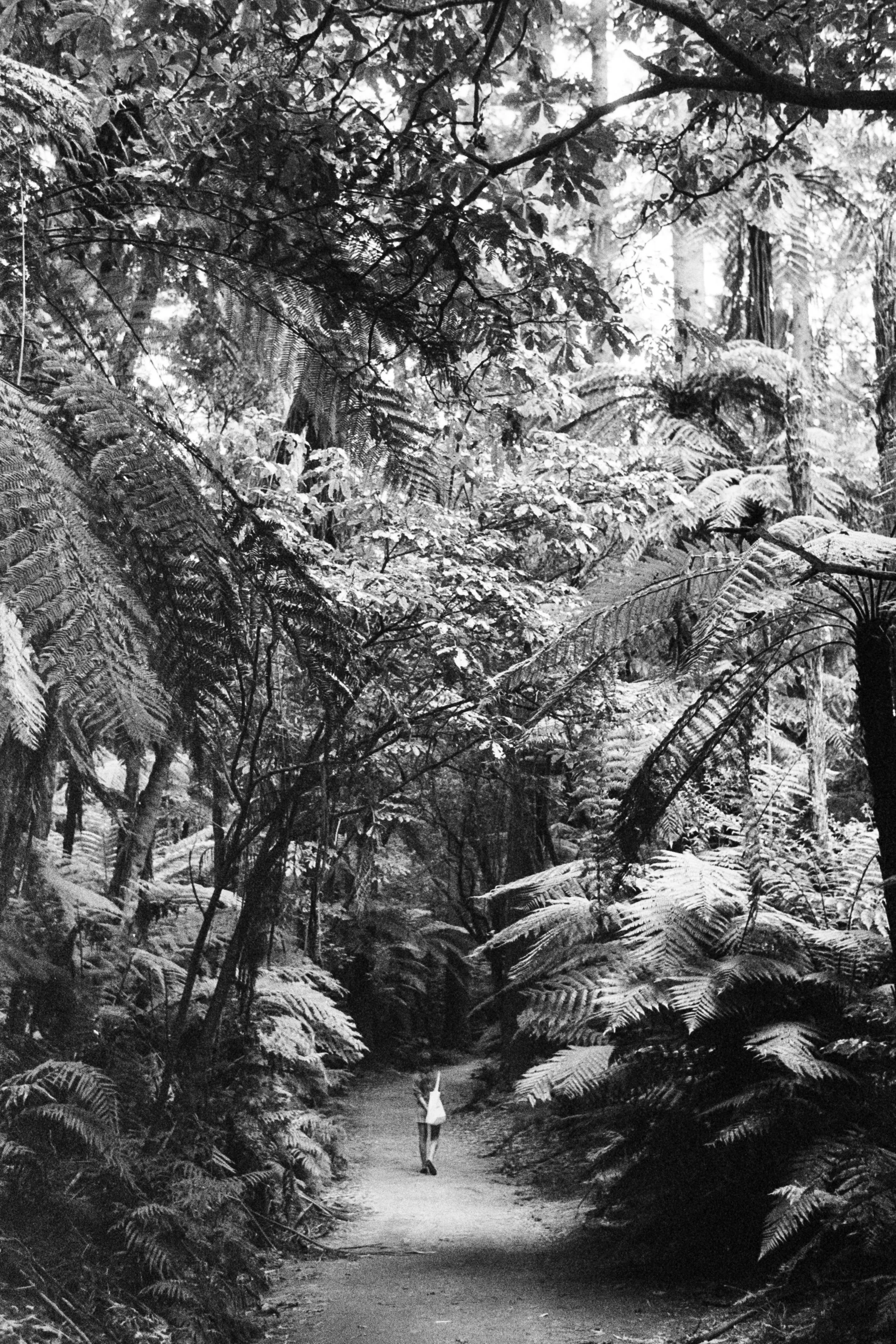 NZ-film (73).jpg