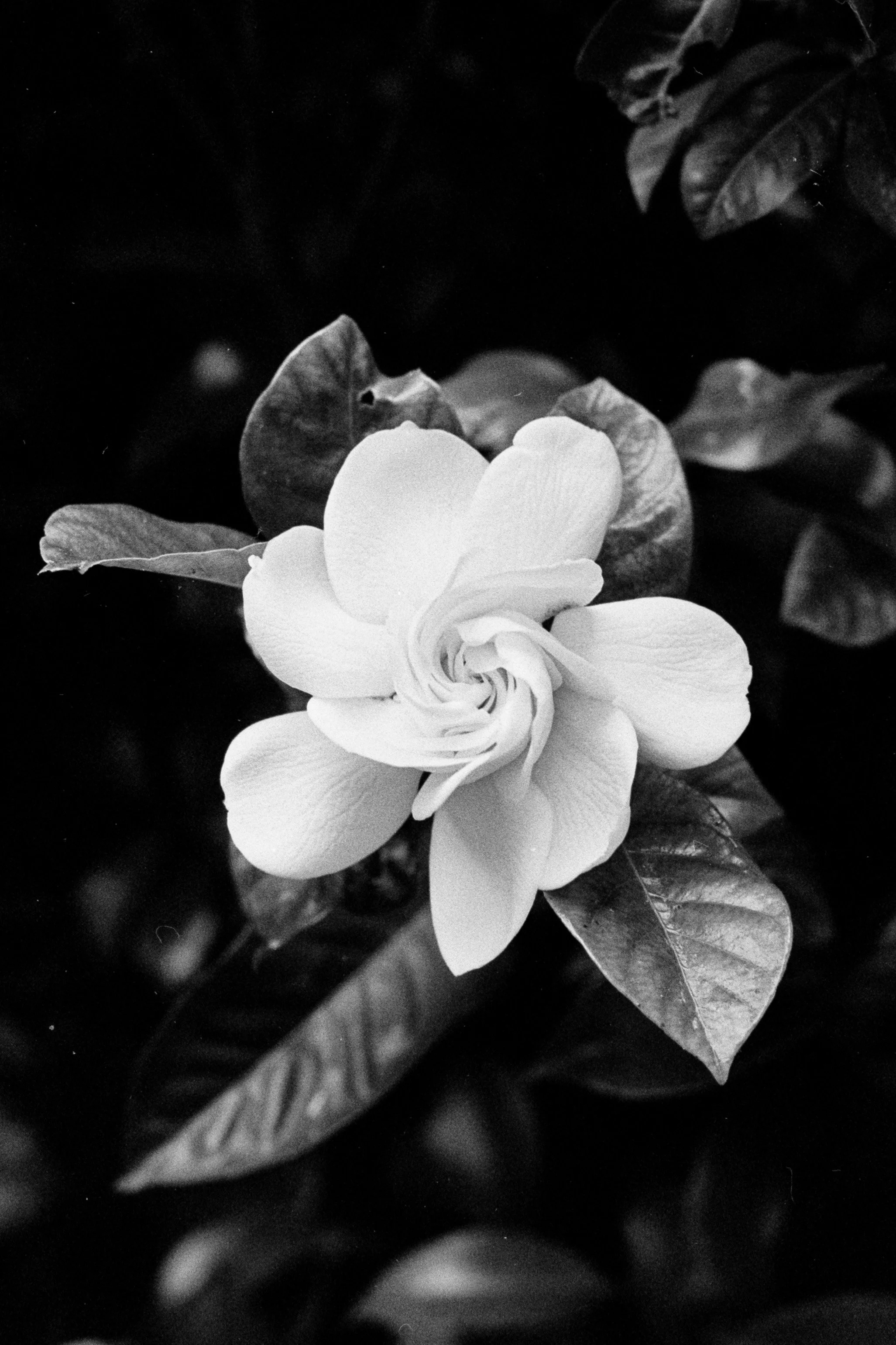 Spring-2026-Film (18)-3.jpg