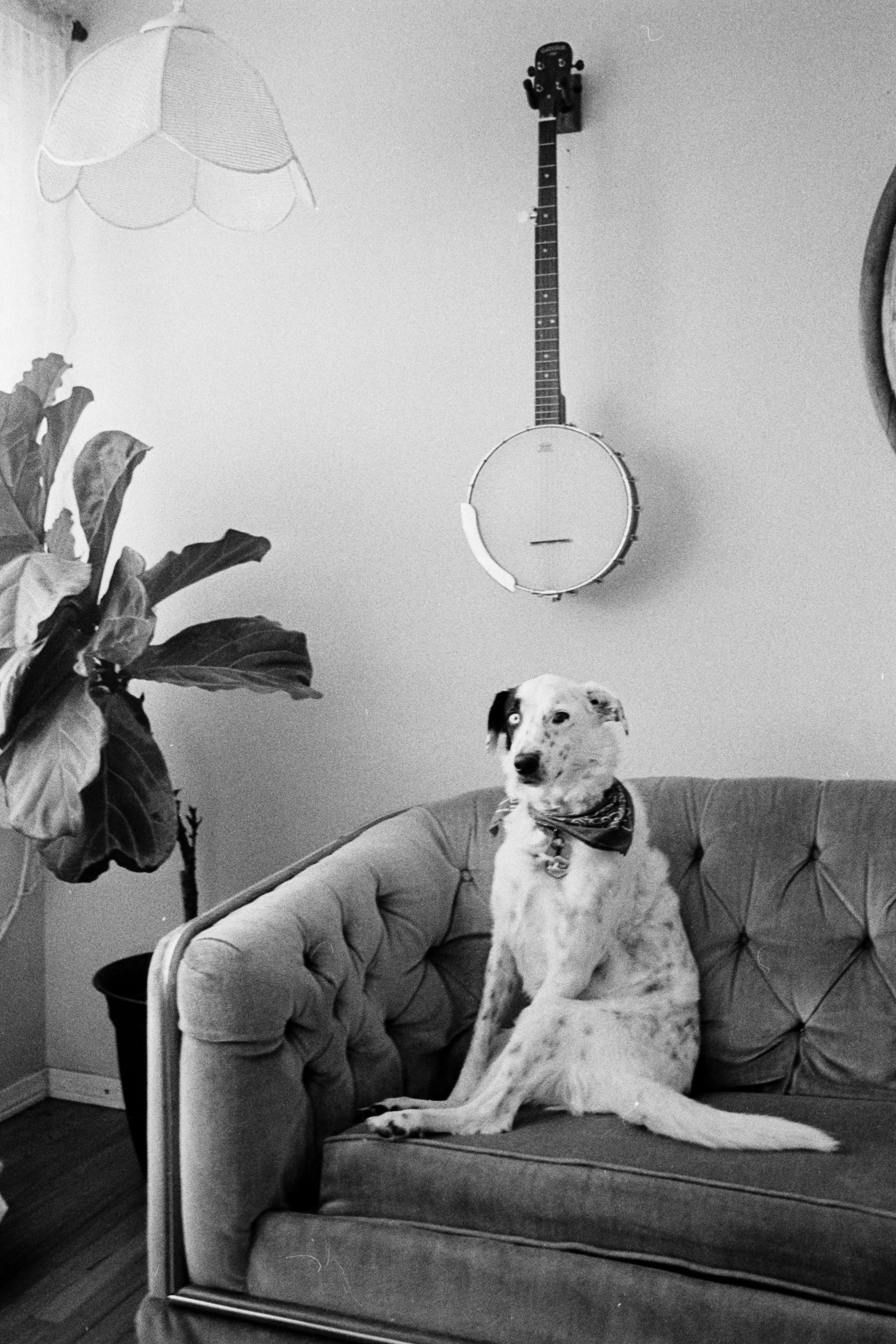 Spring-2026-Film (14).jpg