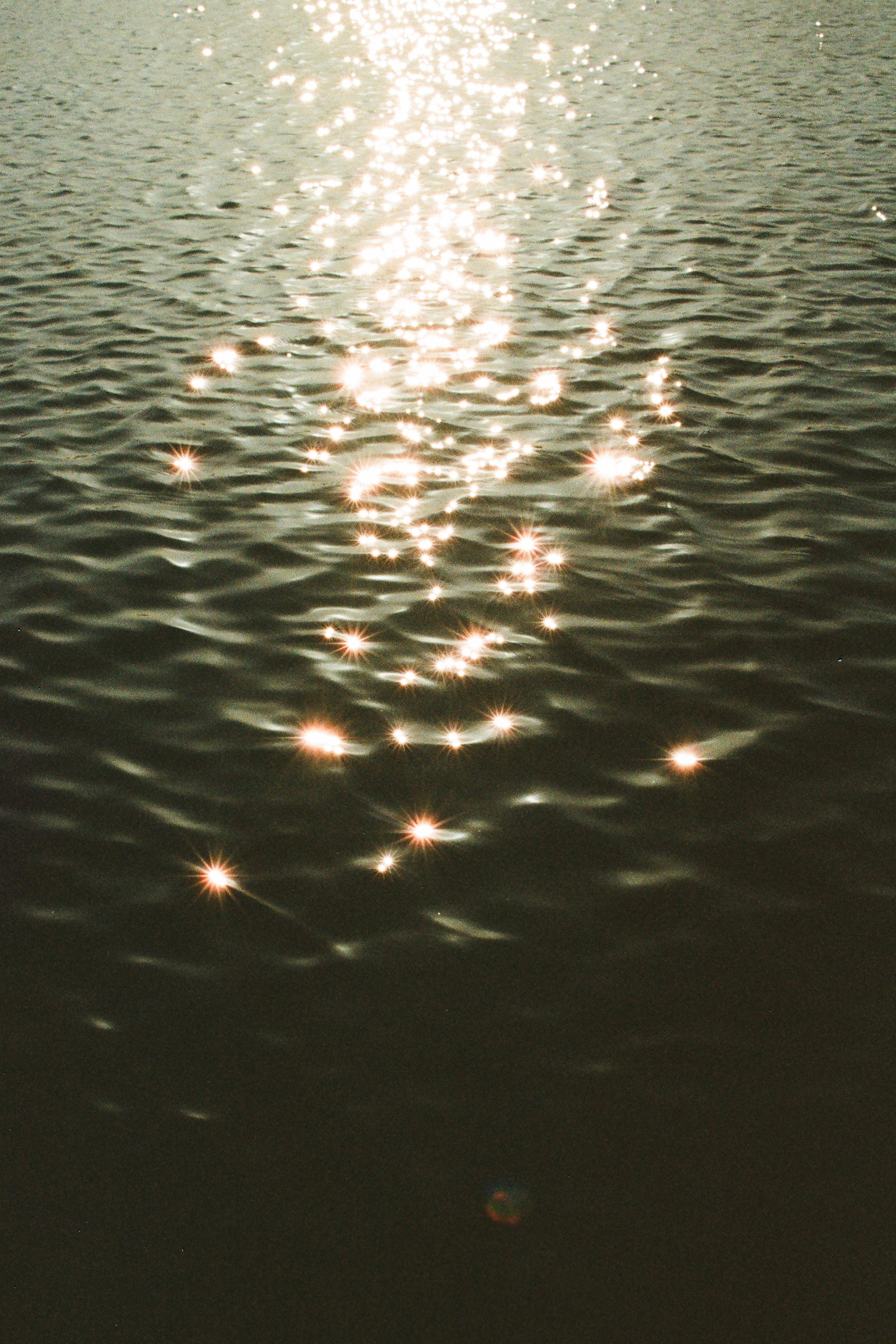23760035-2.jpg