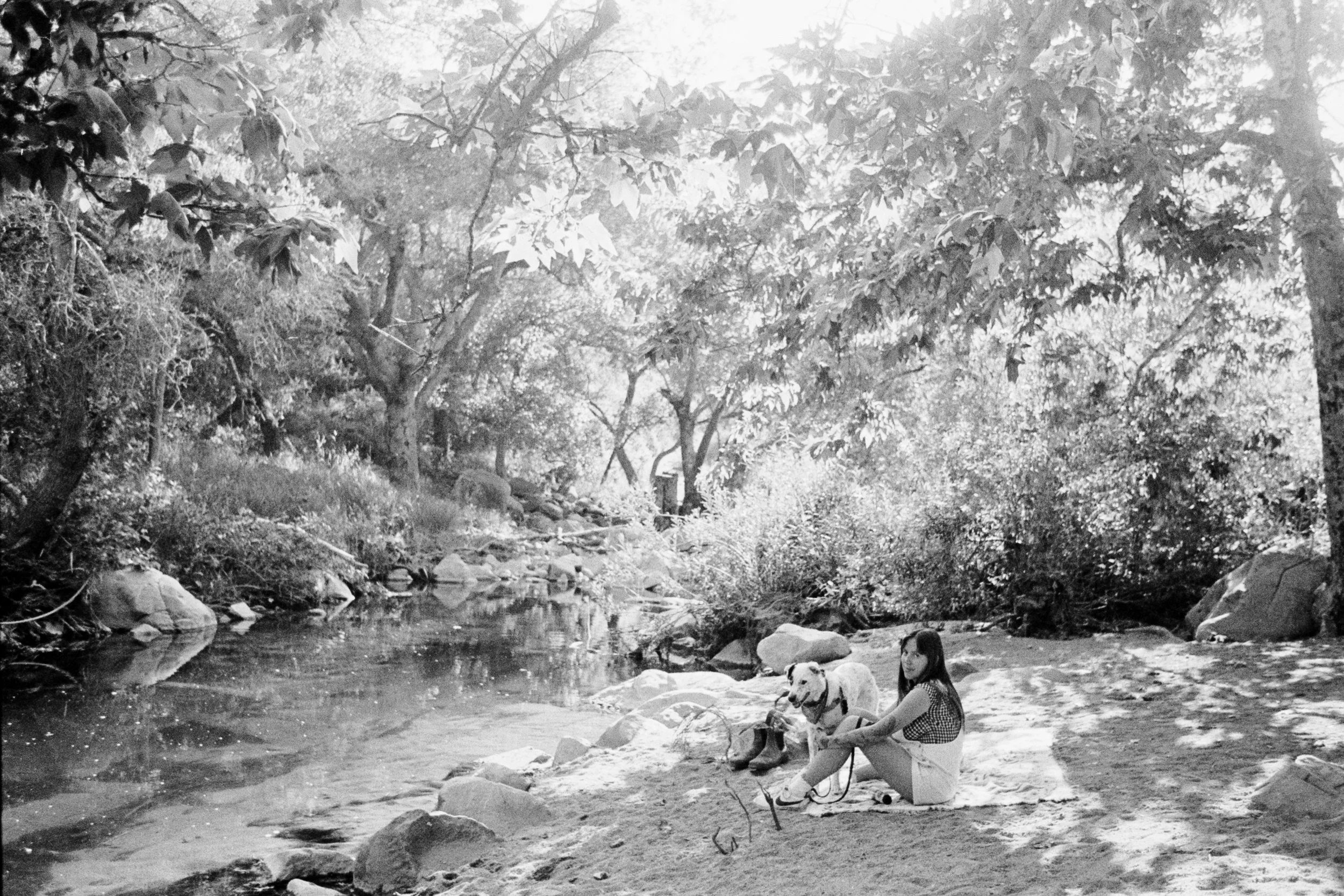 Spring-2026-Film (7).jpg