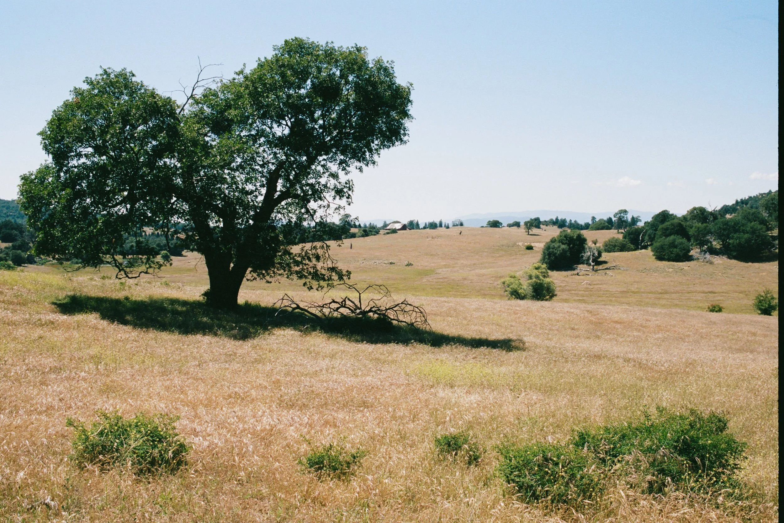 34520006-3.jpg