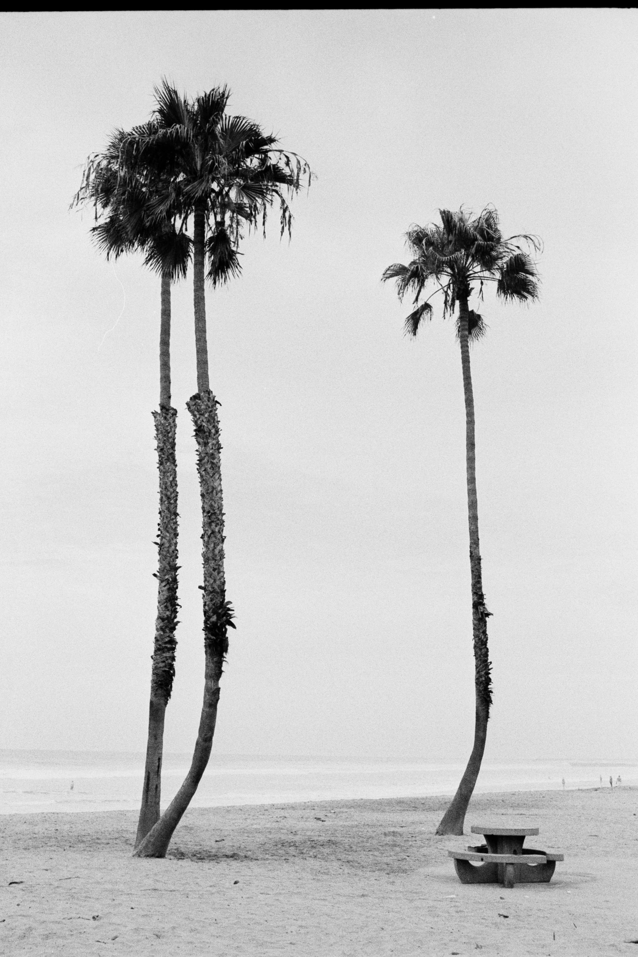 Summer-2026-Film-8.5.2026 (16).jpg