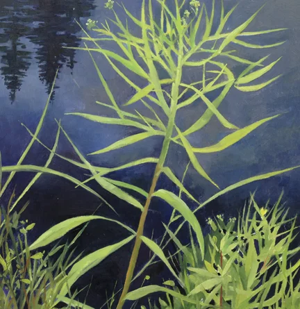 Grass and Pond Reflection Oil on Wood 8" x 8"