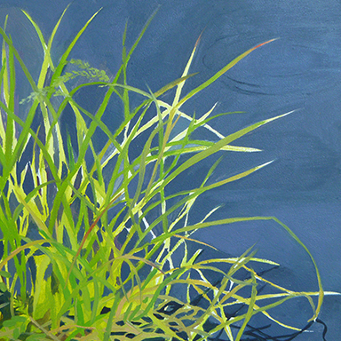 Tall Grass by the Frog Pond