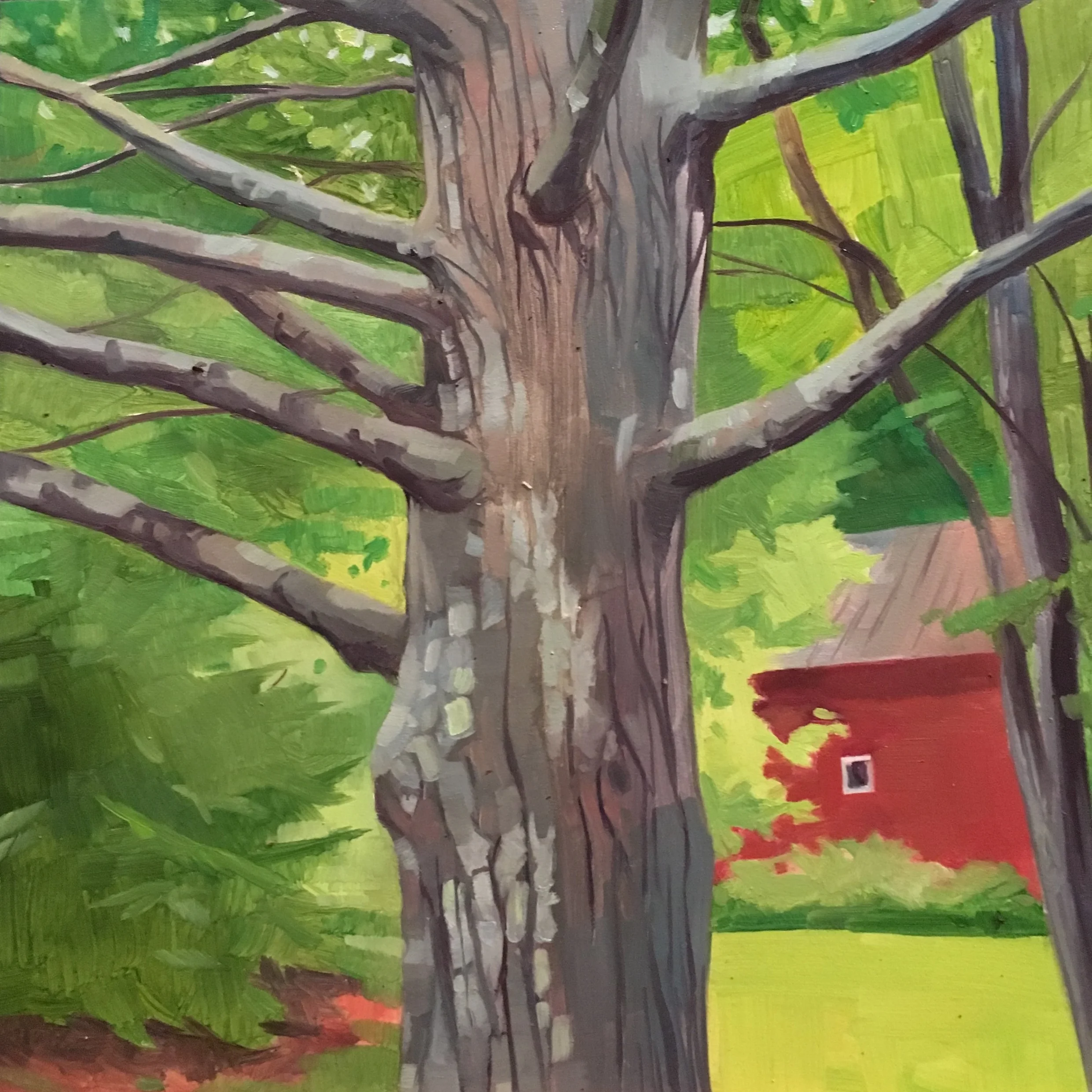 Vermont Tree Oil on Wood 8" x 8"