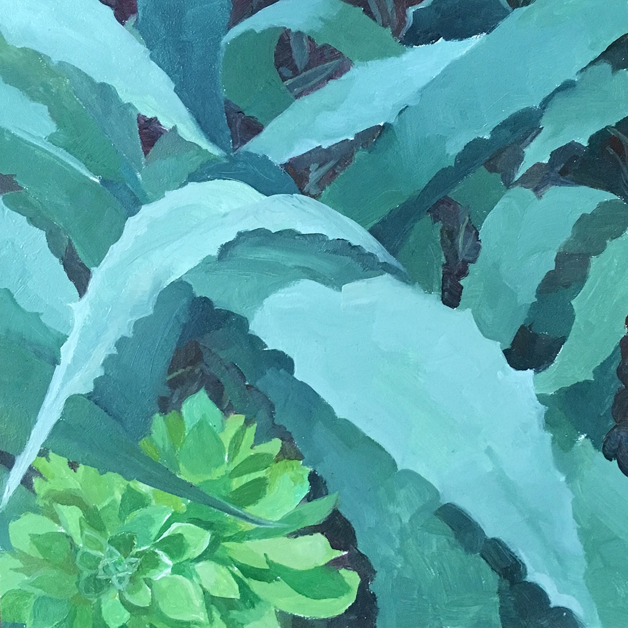 L.A. Succulent (sold)