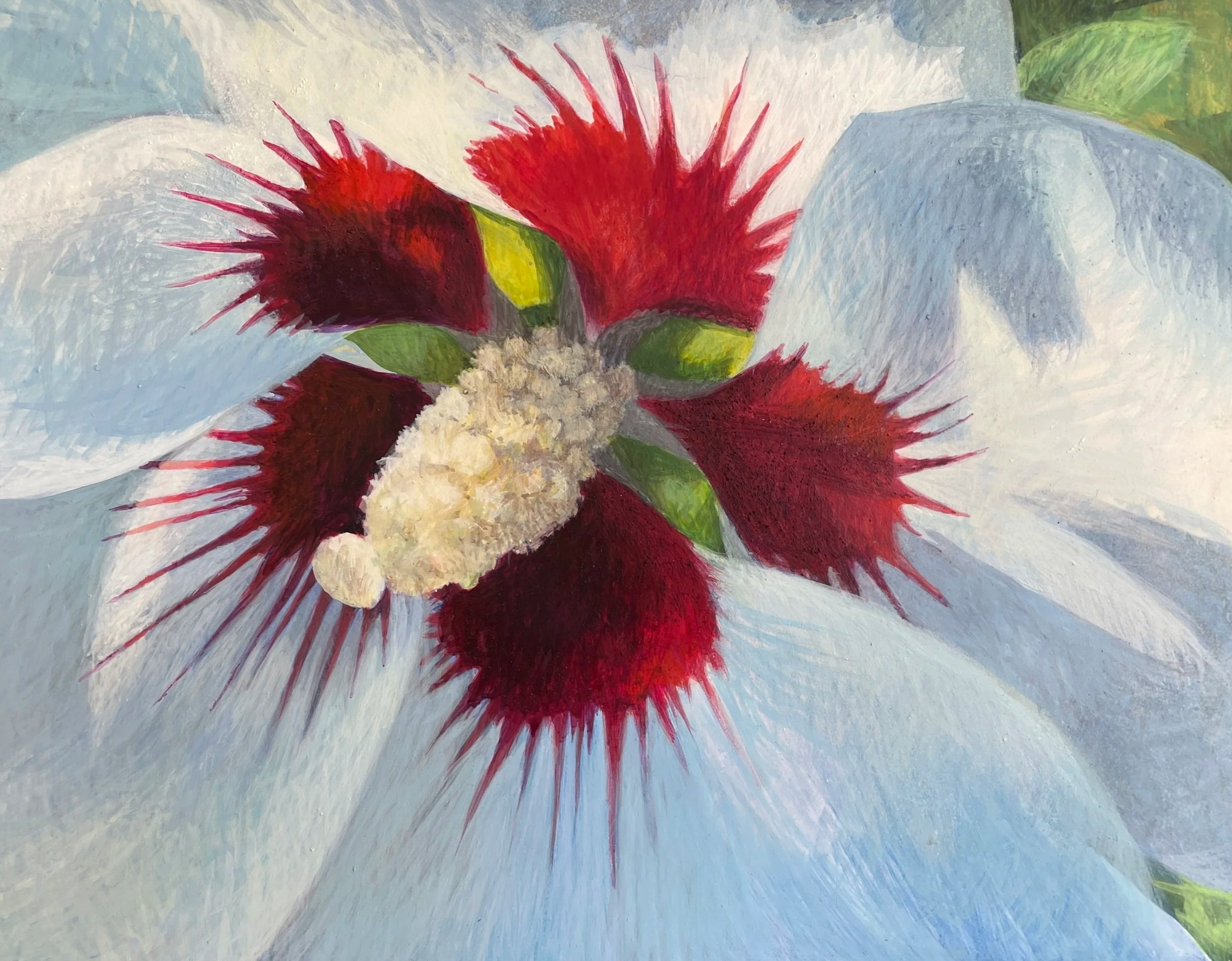 Single Rose of Sharon