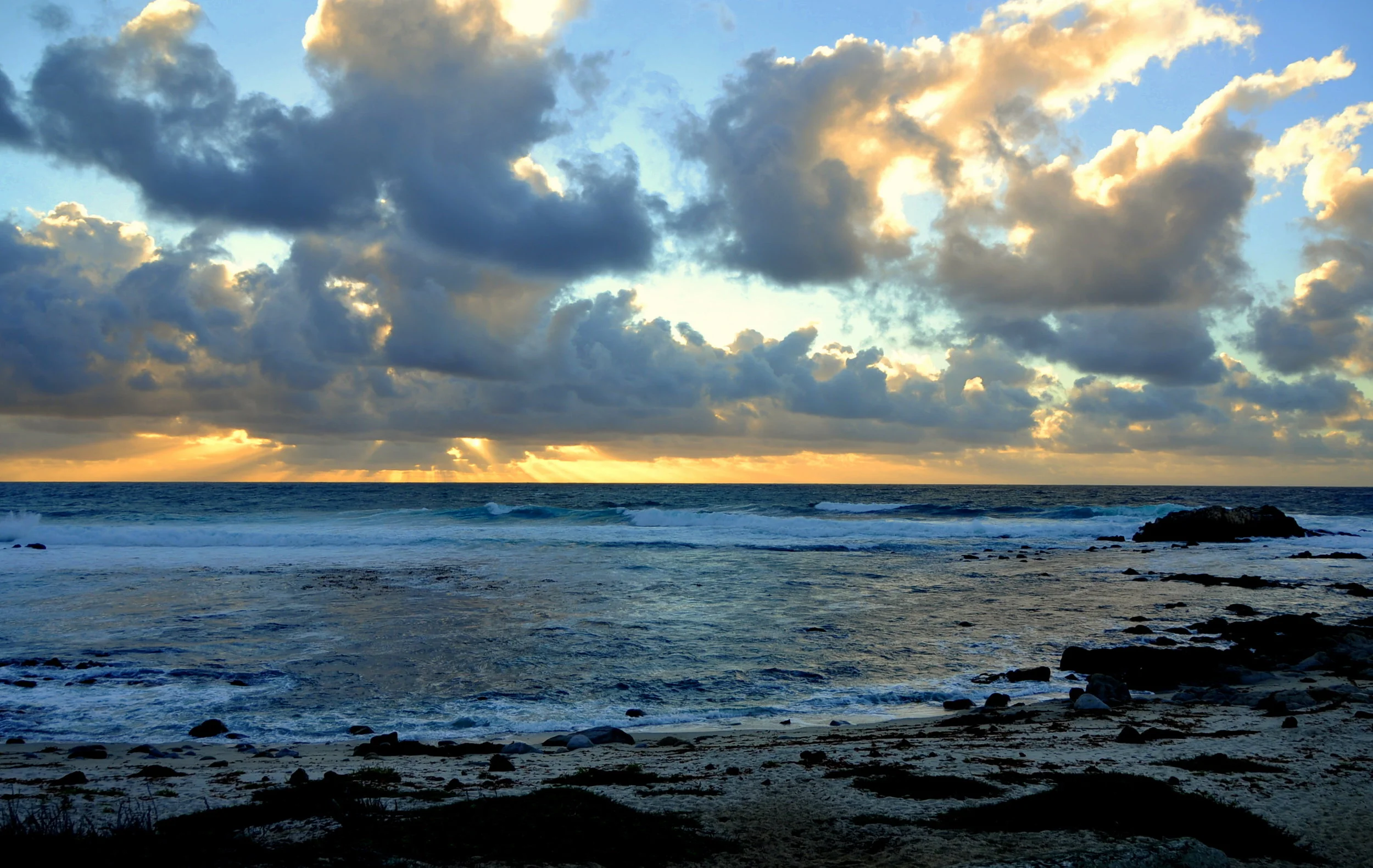 Windy Coastline 2015 757.JPG