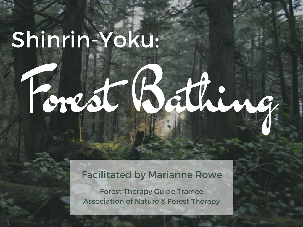 general forest bathing.png