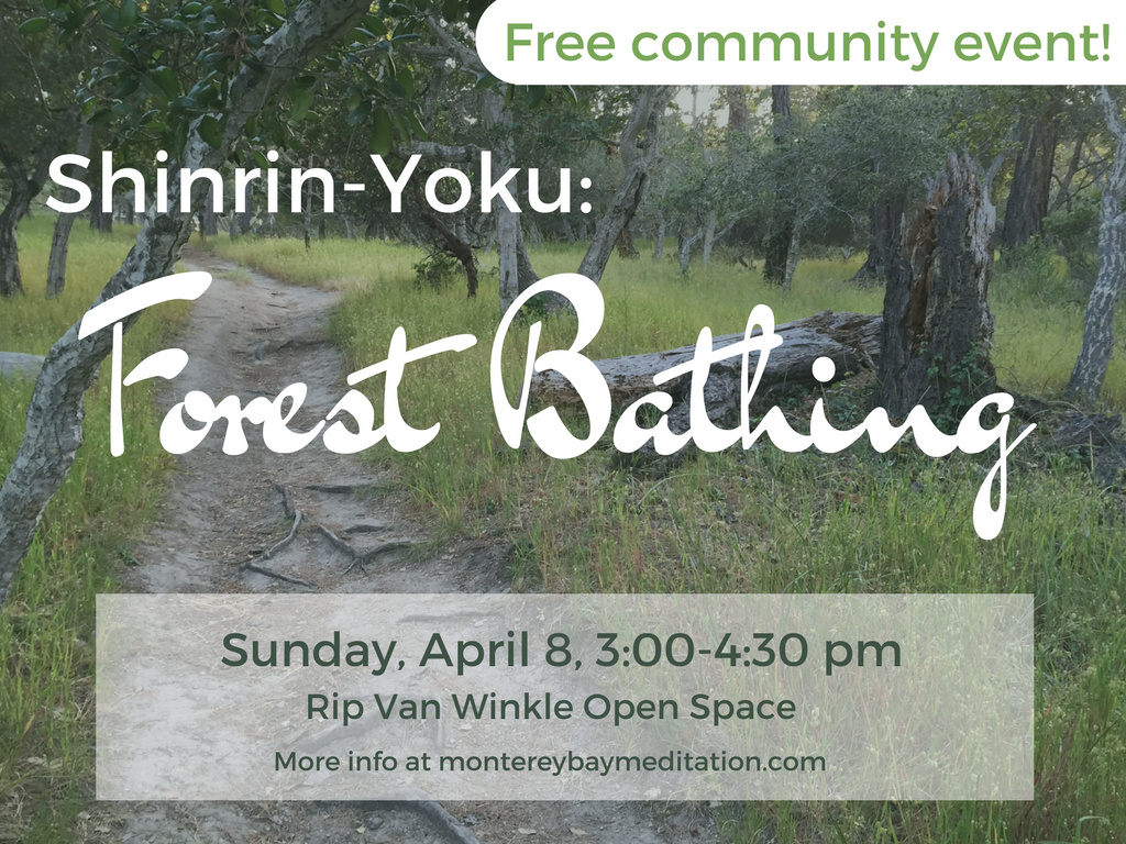 apr2018 forest bathing.png