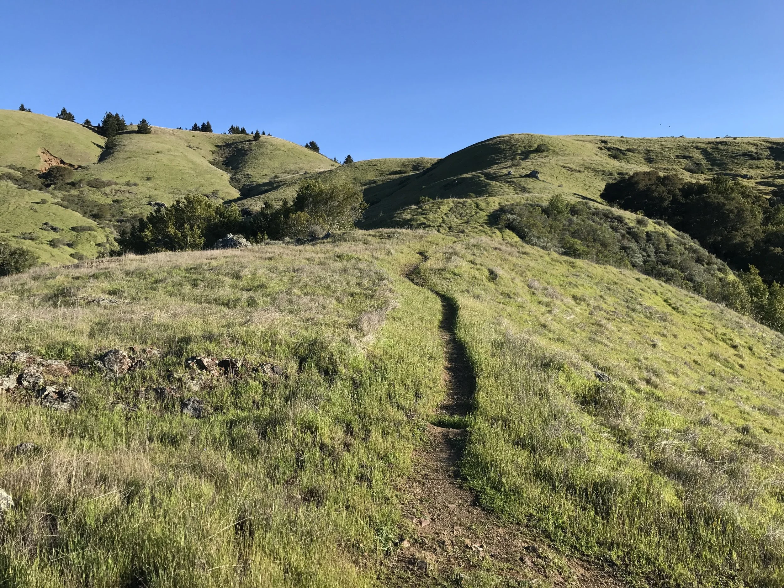 A New Way of Relating to Anxiety