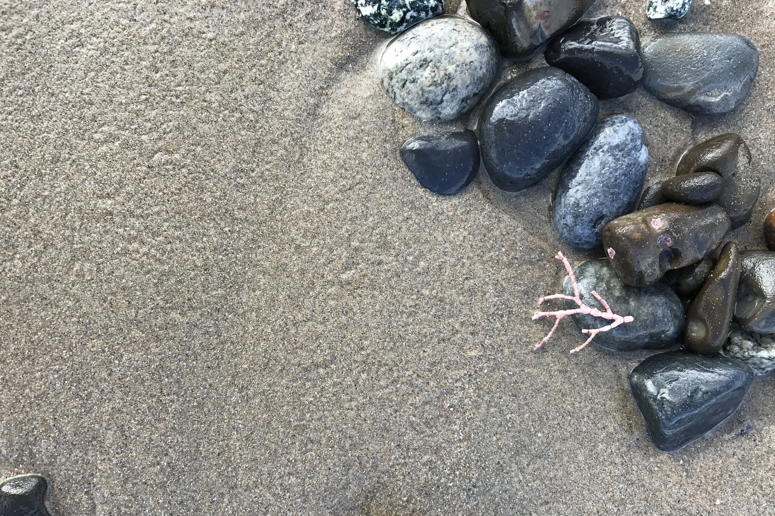 SMARTER TRAVEL: 4 Unexpected Ways to Explore Carmel-by-the-Sea Spend a little time just truly being in nature. by Christine Sarkis