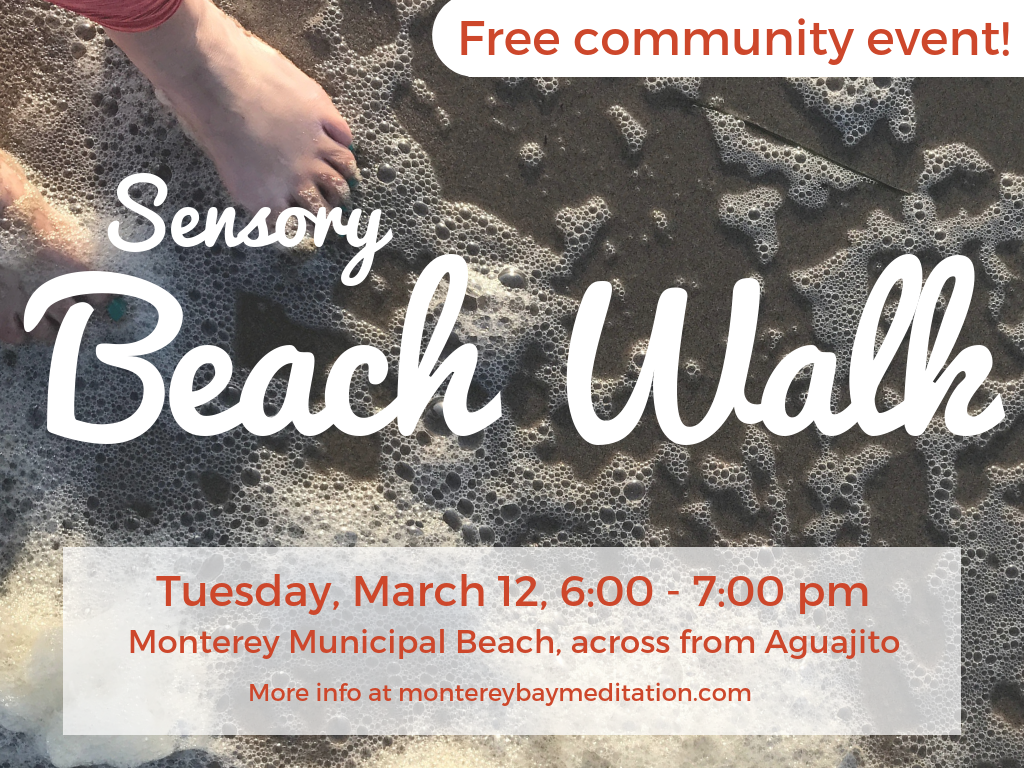 mar2019 beach walk.png