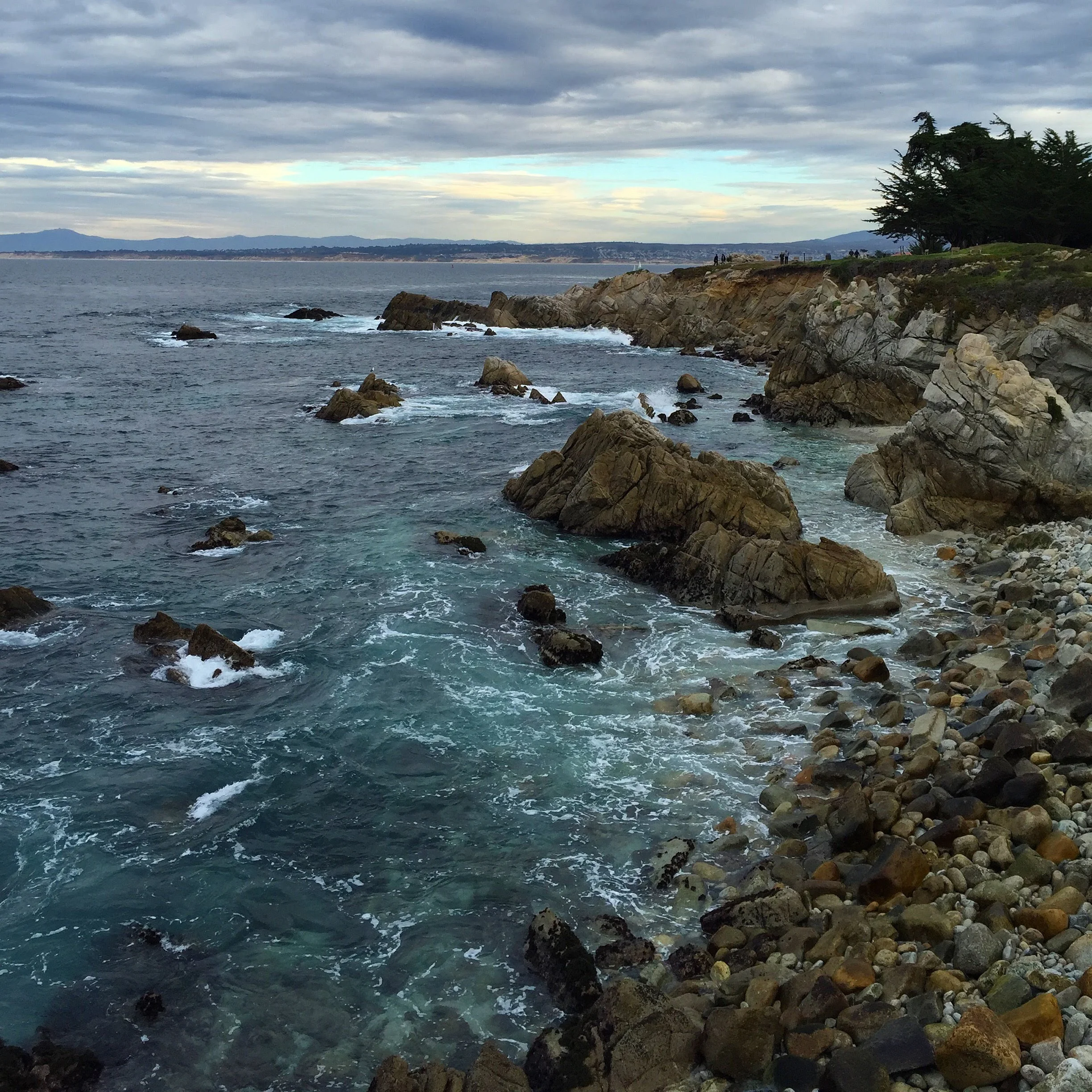 Something Wild: A Mindful Food Tour of Pacific Grove