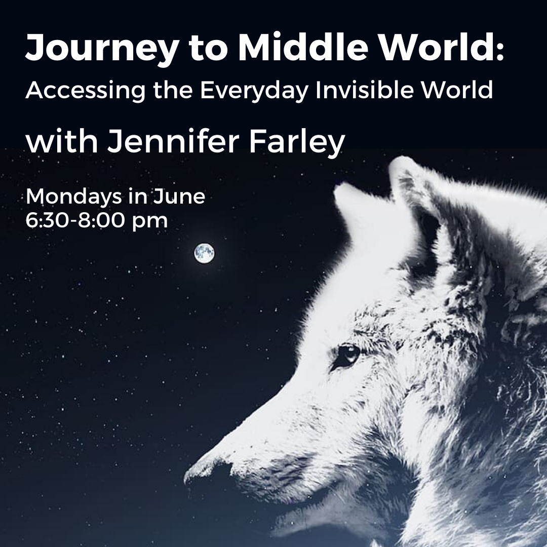 ONLINE Journey to Middle World Accessing the Everyday Invisible World — Monterey Bay Meditation Studio Mindfulness and Compassion