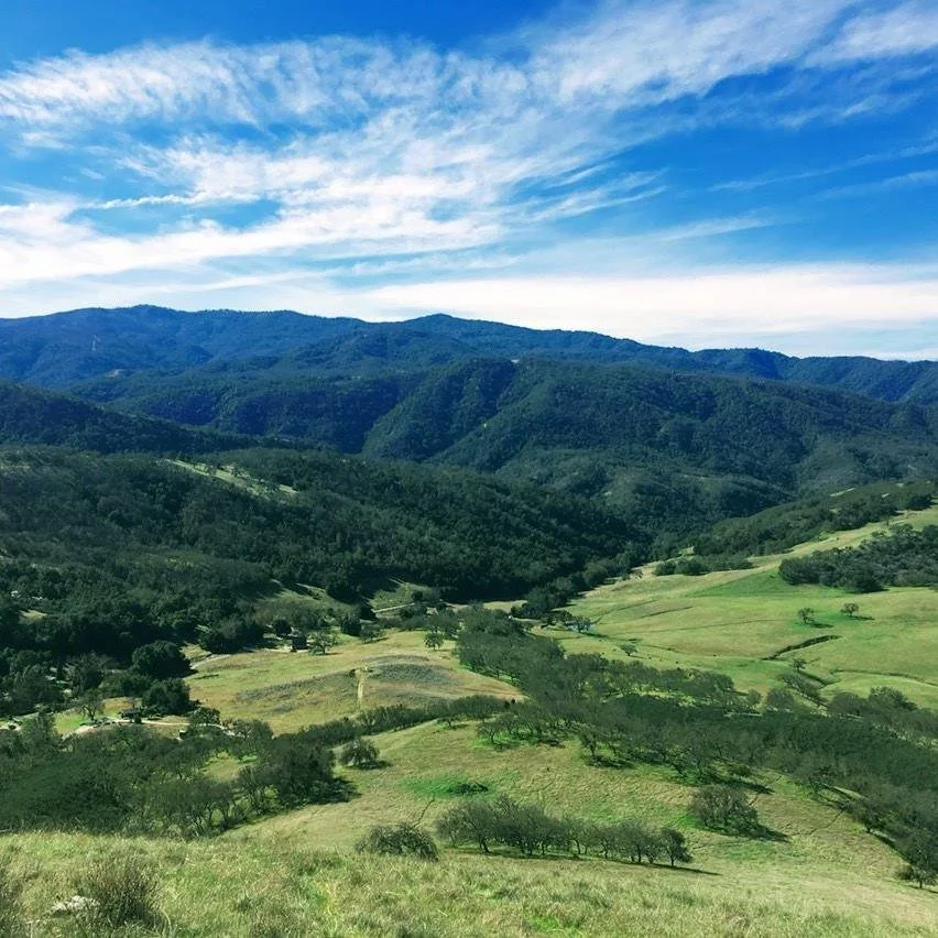 Loving Earth: A Reverence and Reciprocity Retreat