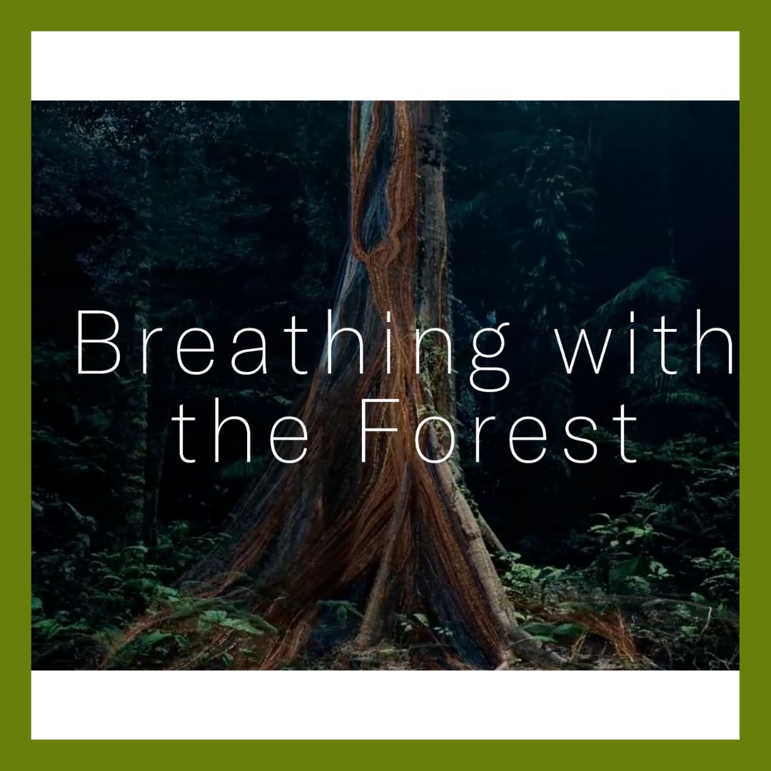 "Breathing with the Forest"