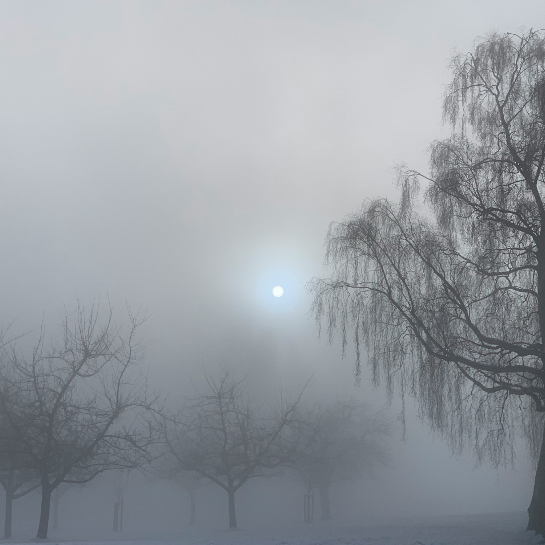 Finding Your Way Through: Healing Practices for Living in 2026 ... and Beyond