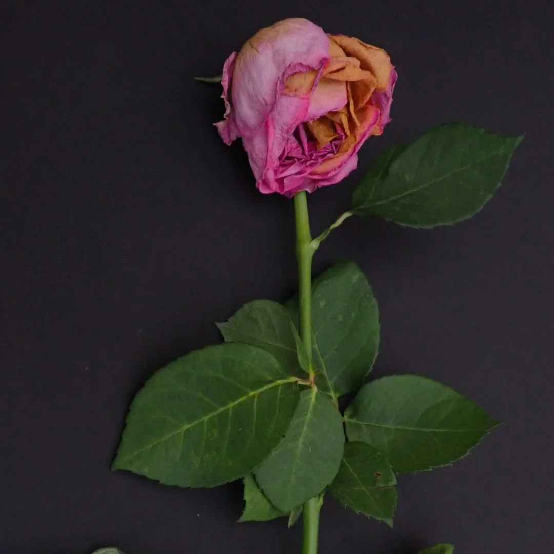 Lamentation for Tending to our Broken Hearts