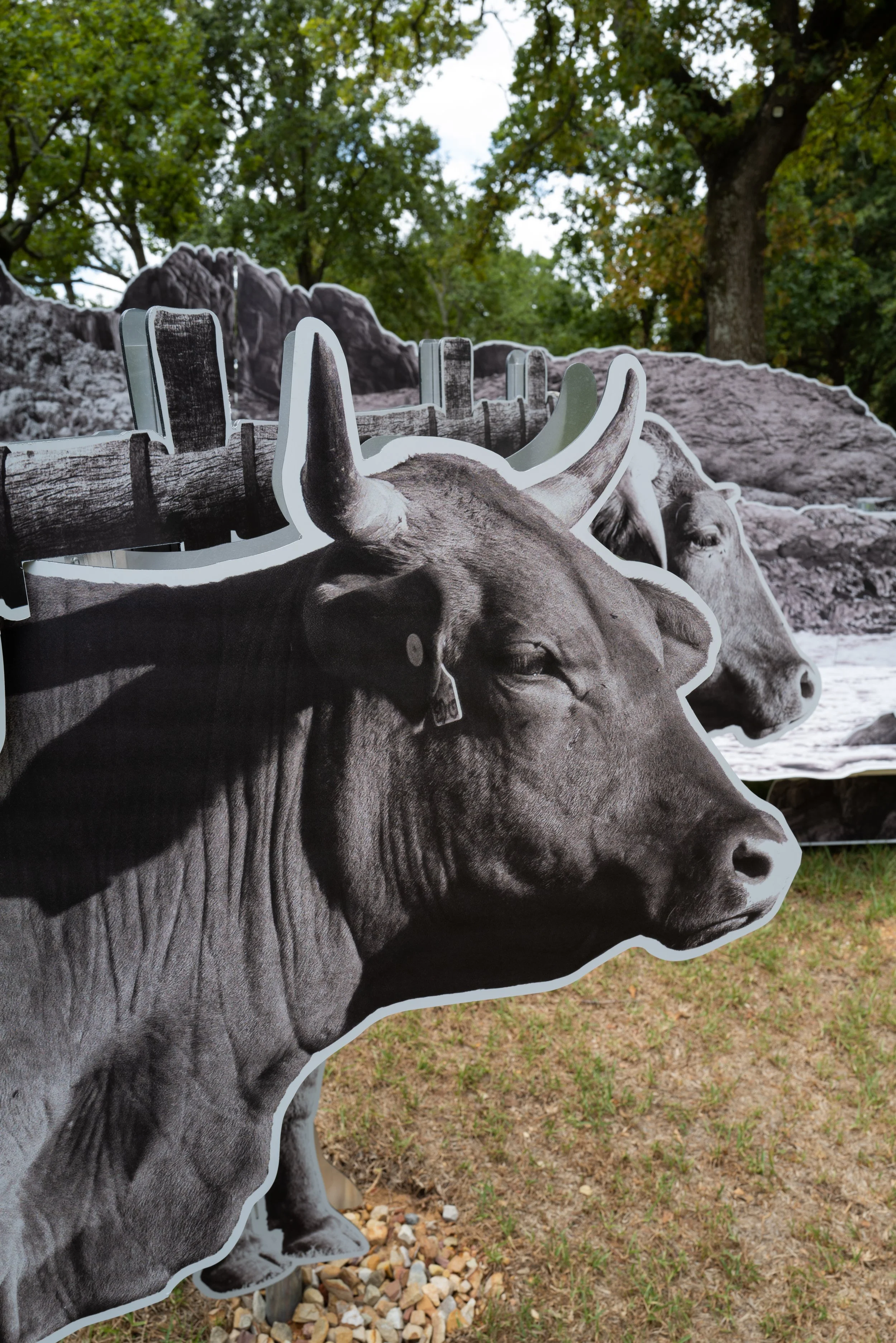  Ox wagons to deliver supplies,  2024 Photo-sculpture installation, UV print on steel 